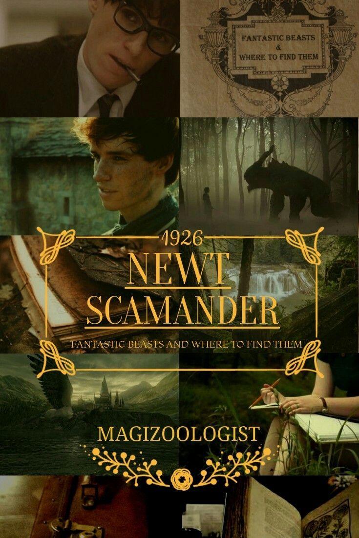 735x1102 Harry Potter Inspiration › Scamander Wallpaper iPhone Wallpaper & Background Download