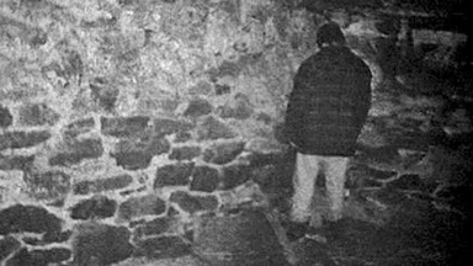1920x1080 Morbid Alternate Endings Revealed For THE BLAIR WITCH PROJECT