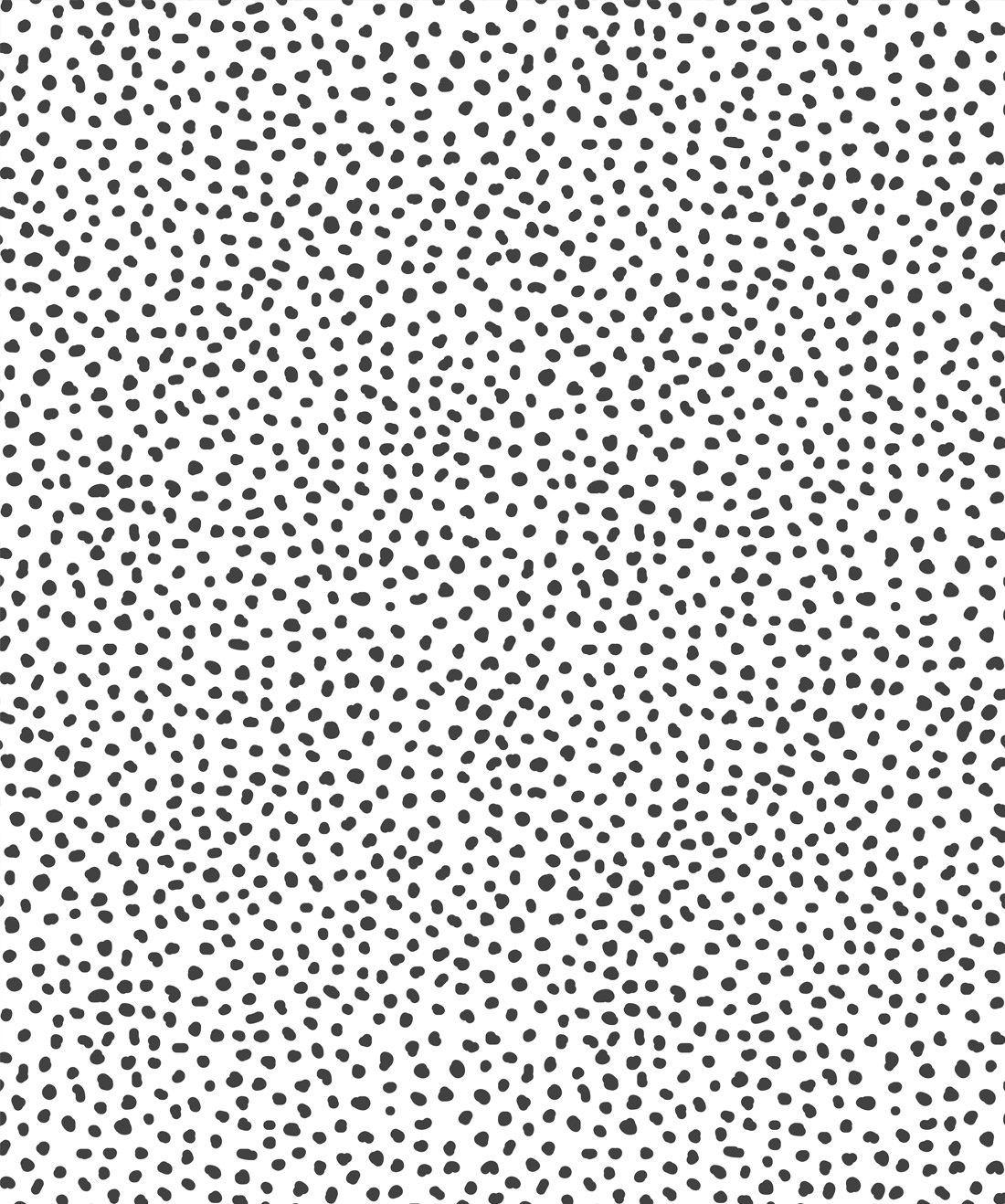 Black Polka Dot Background Black Dot Background Background Image And  Wallpaper for Free Download
