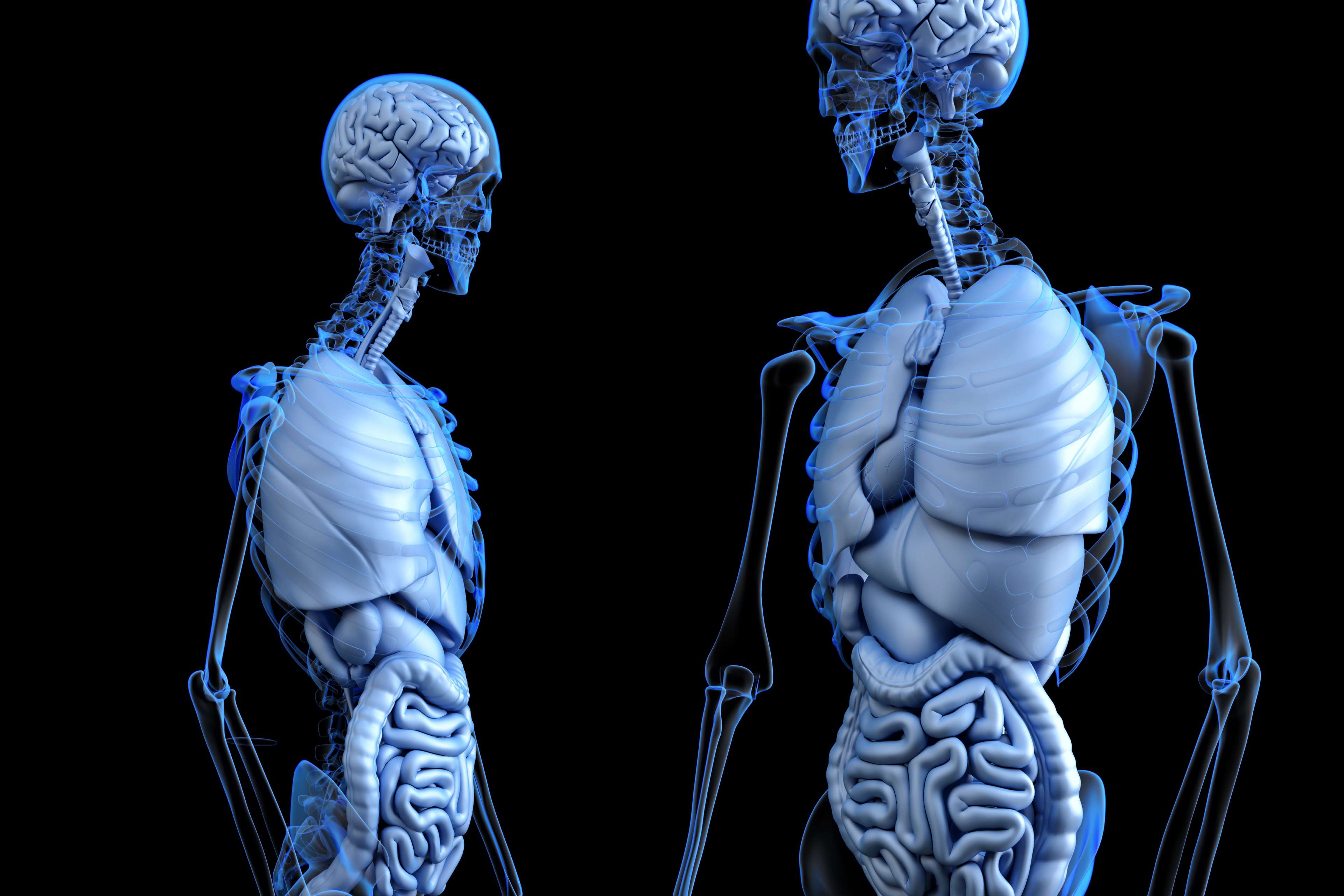 3840x2560 colon HD wallpaper, Background