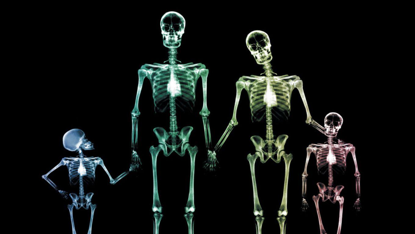 1360x768 Free X Ray Family Wallpaper The Free X Ray Family Wallpaper Free, Free Wallpaper, Play Free. Xray Art, X Ray, Black And White