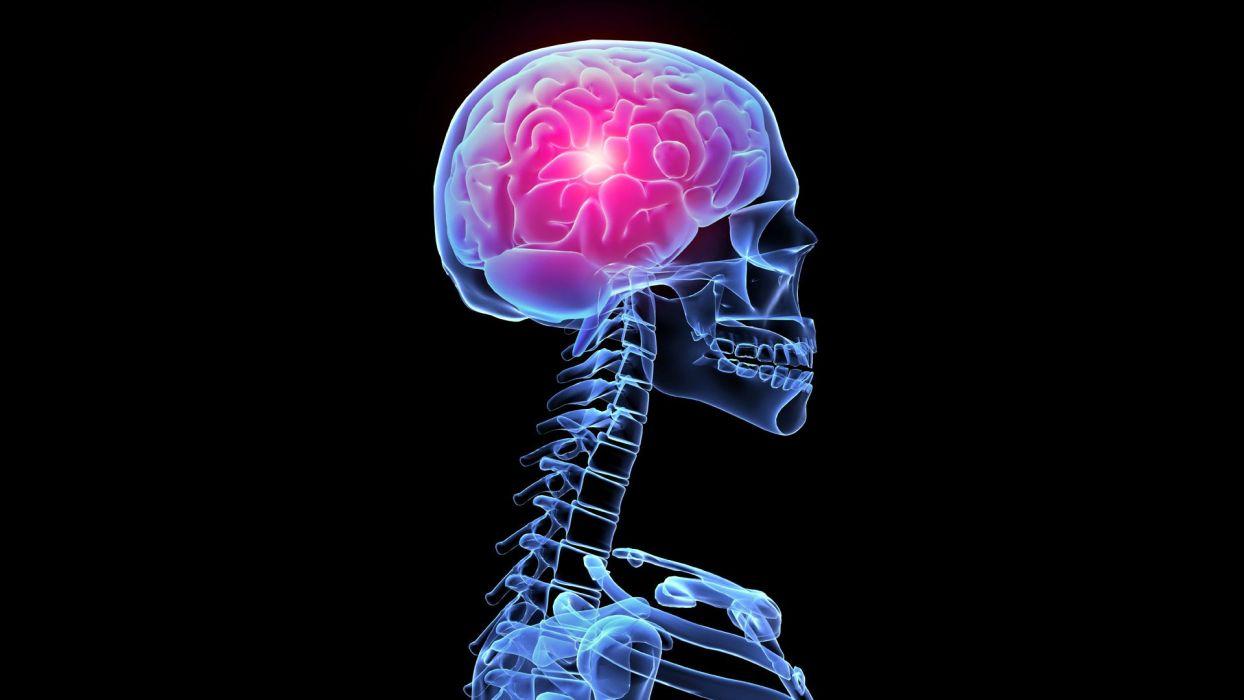 1244x700 Brain Anatomy Medical Head Skull Digital 3 D X Ray Xray Psychedelic Skeleton Wallpaperx1080