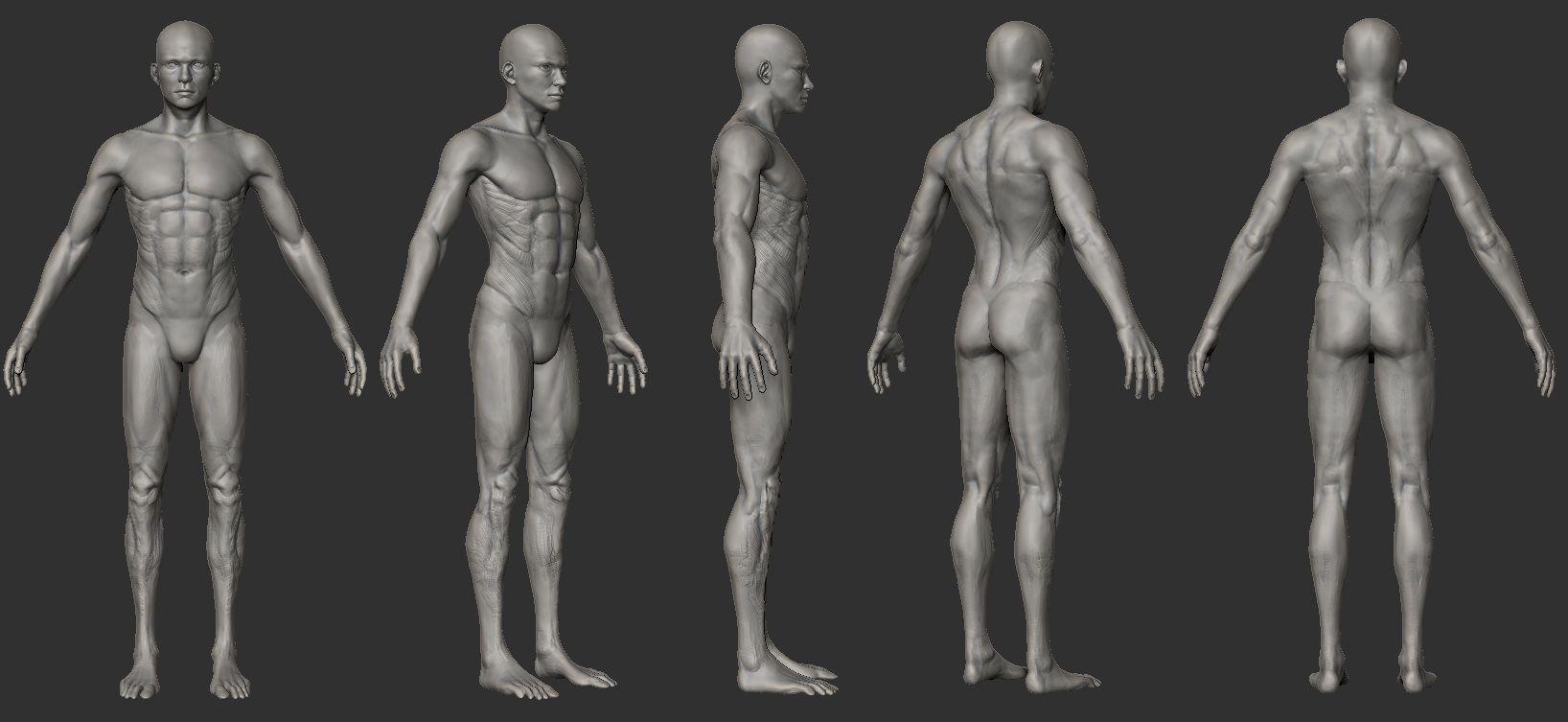 1636x753 3D Character Model Reference Widescreen 2. Character modeling, Male pose reference, Body reference