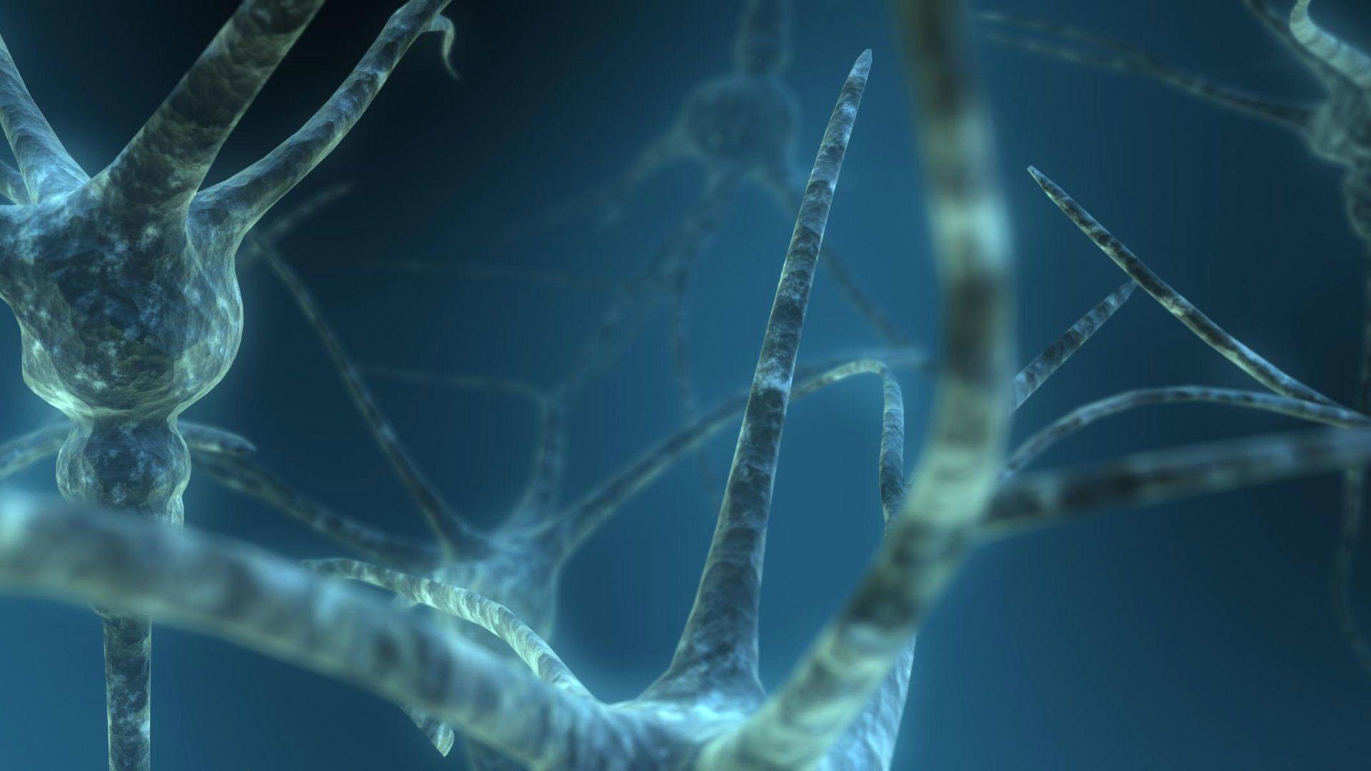1920x1080 Brain Wallpaper HD