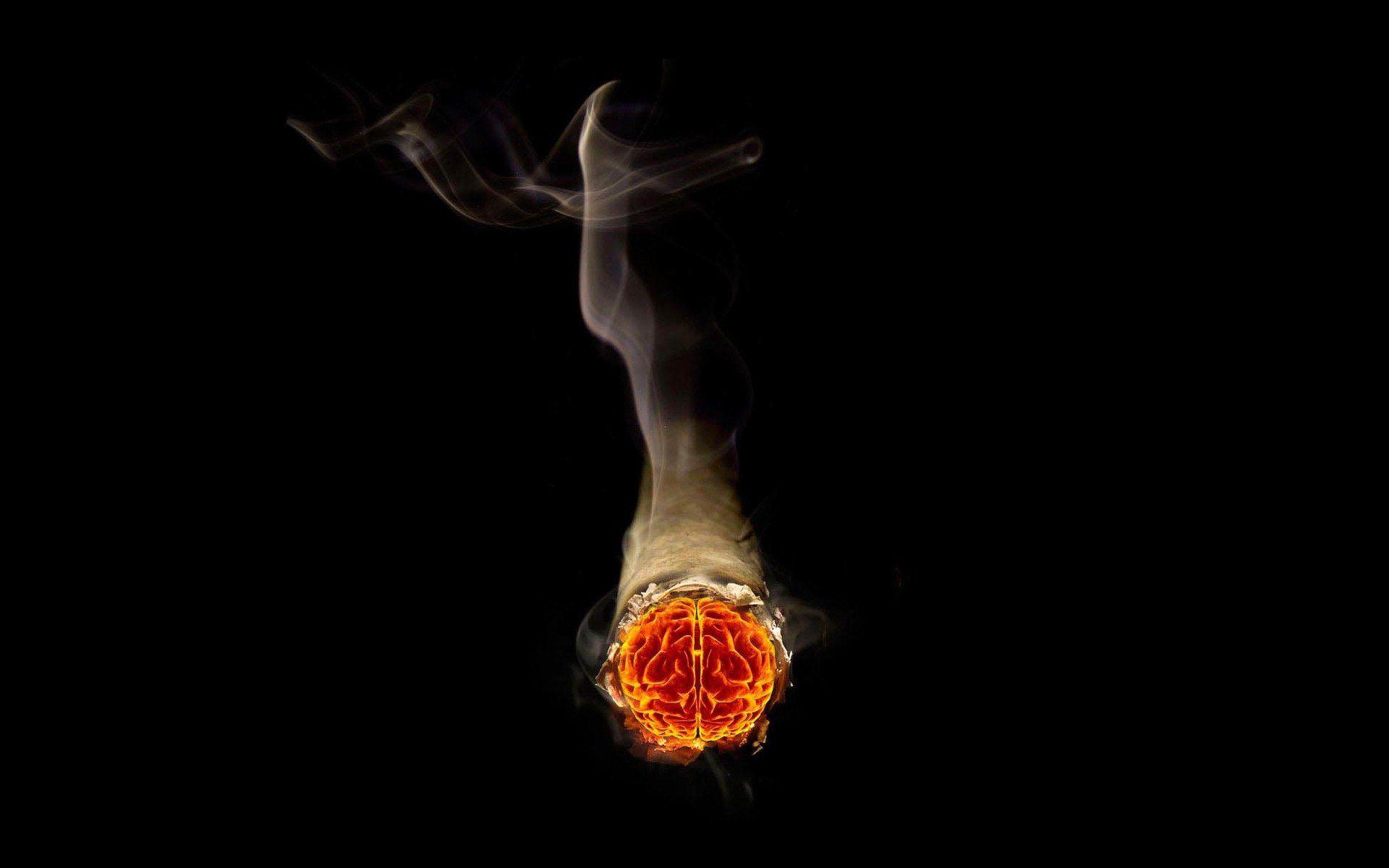 1920x1200 Brain Desktop Wallpaper : Biological Science Picture Directory