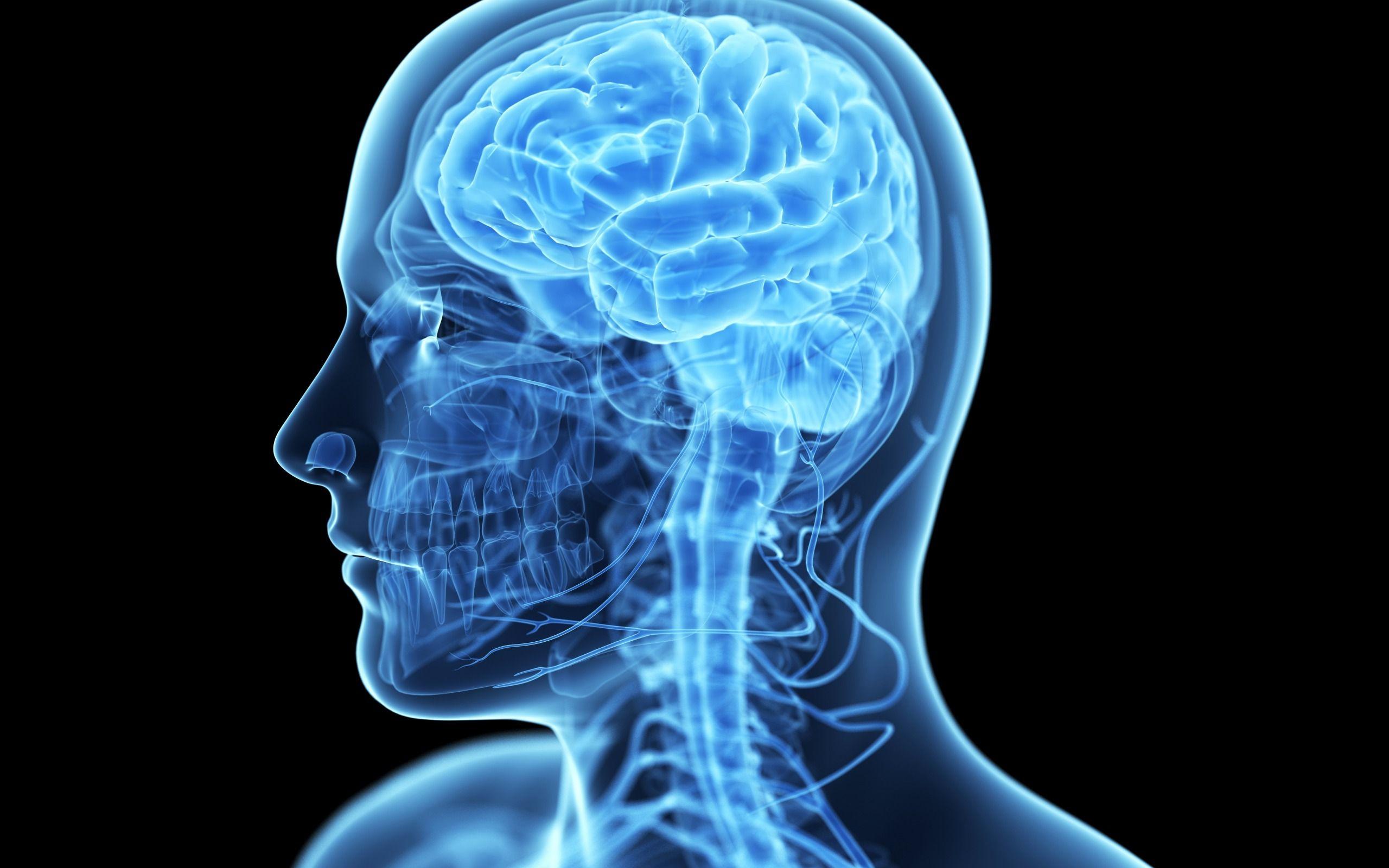 2560x1600 Download Wallpaper Human Brain, Concepts, Medicine, X Ray Of The Brain, Anatomy, 3D Person For Desktop With Resolution 2560x1600. High Quality HD Picture Wallpaper