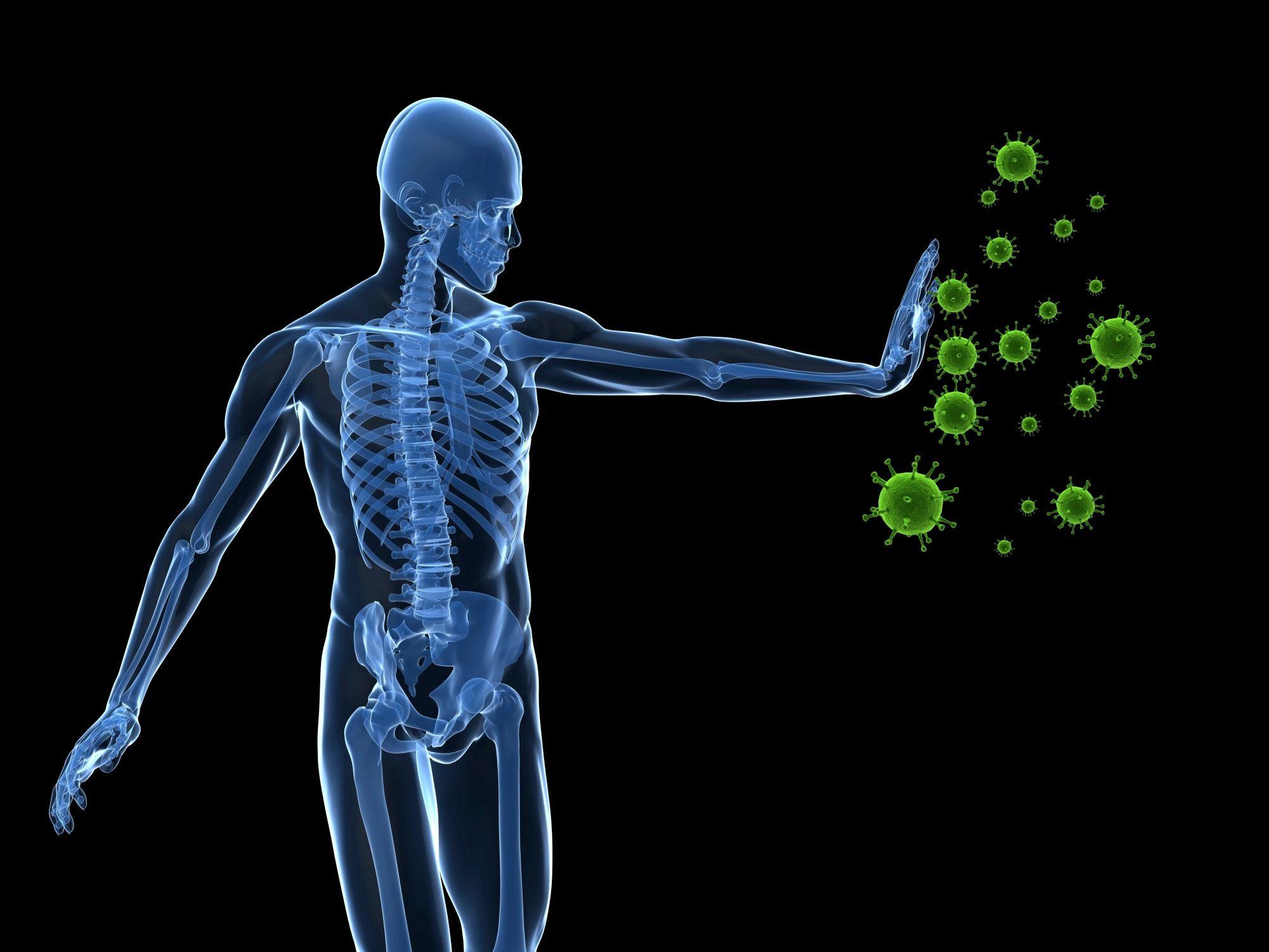 2001x1501 Human Body Wallpaper