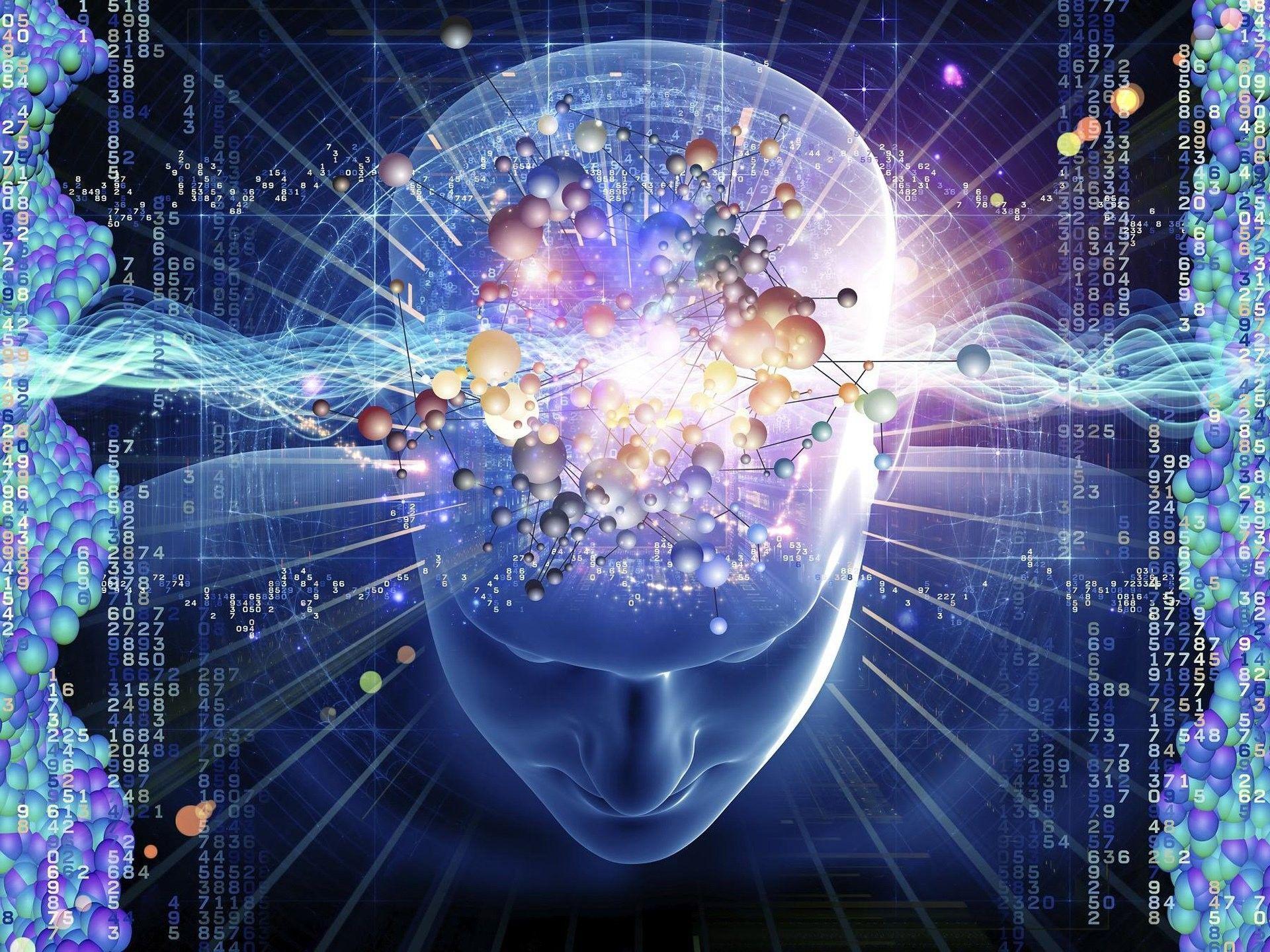 1920x1440 Brain Wallpaper HD