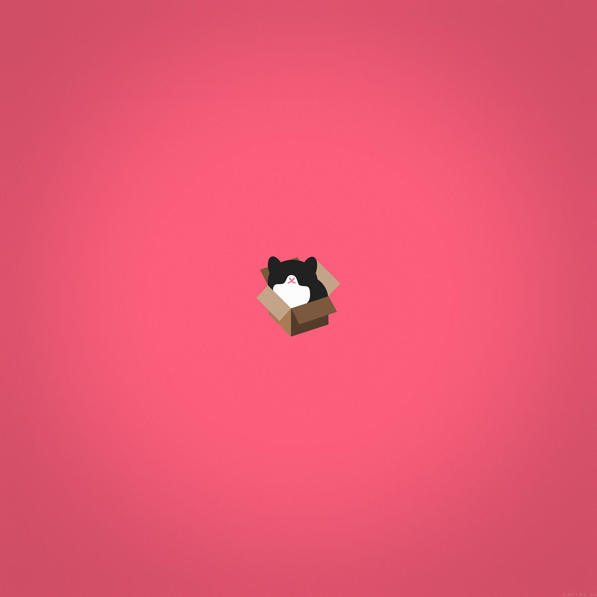 2048x2048 Cat Box Red Illust Animal Art Minimal