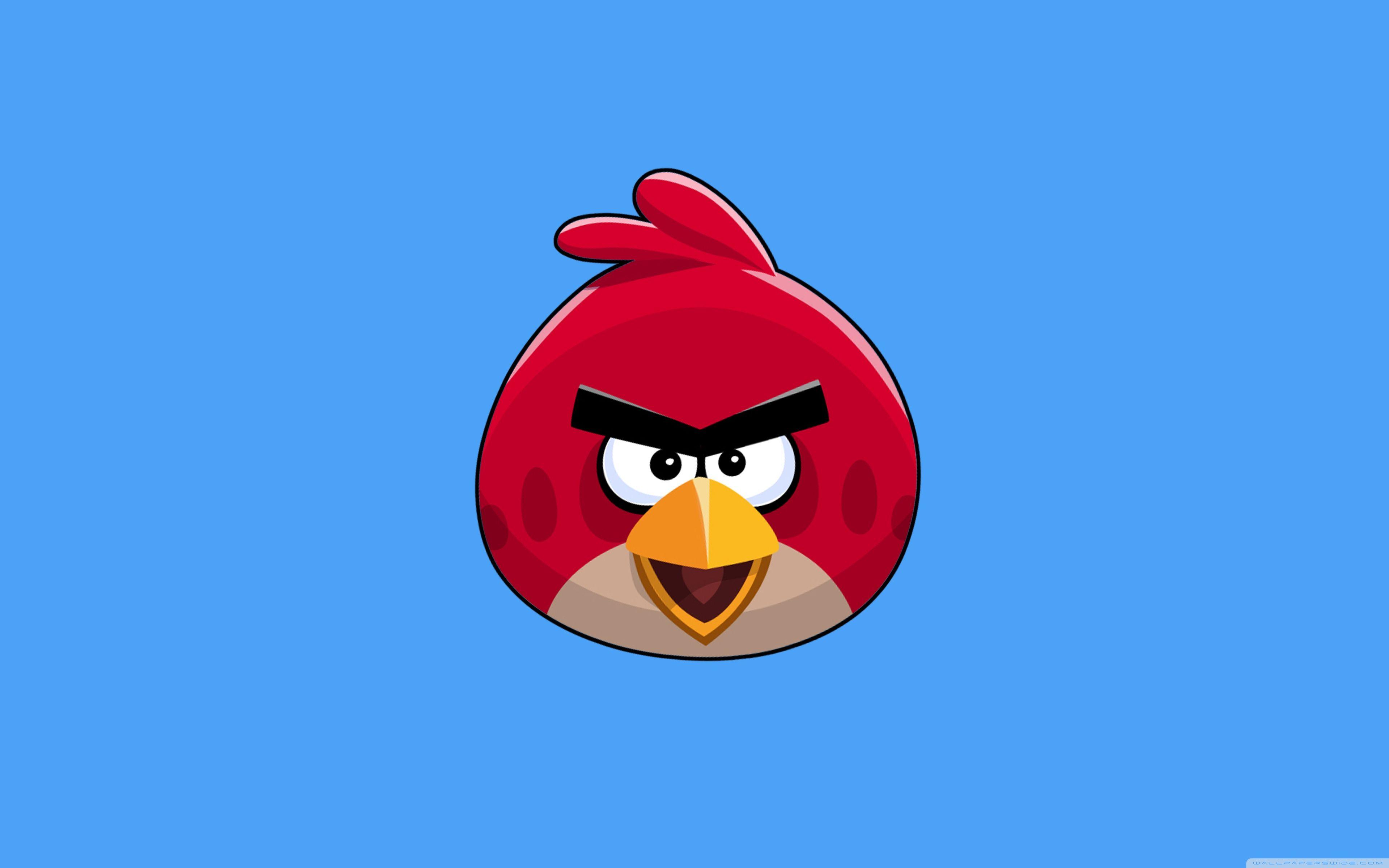 3840x2400 Wallpaper Angry Bird