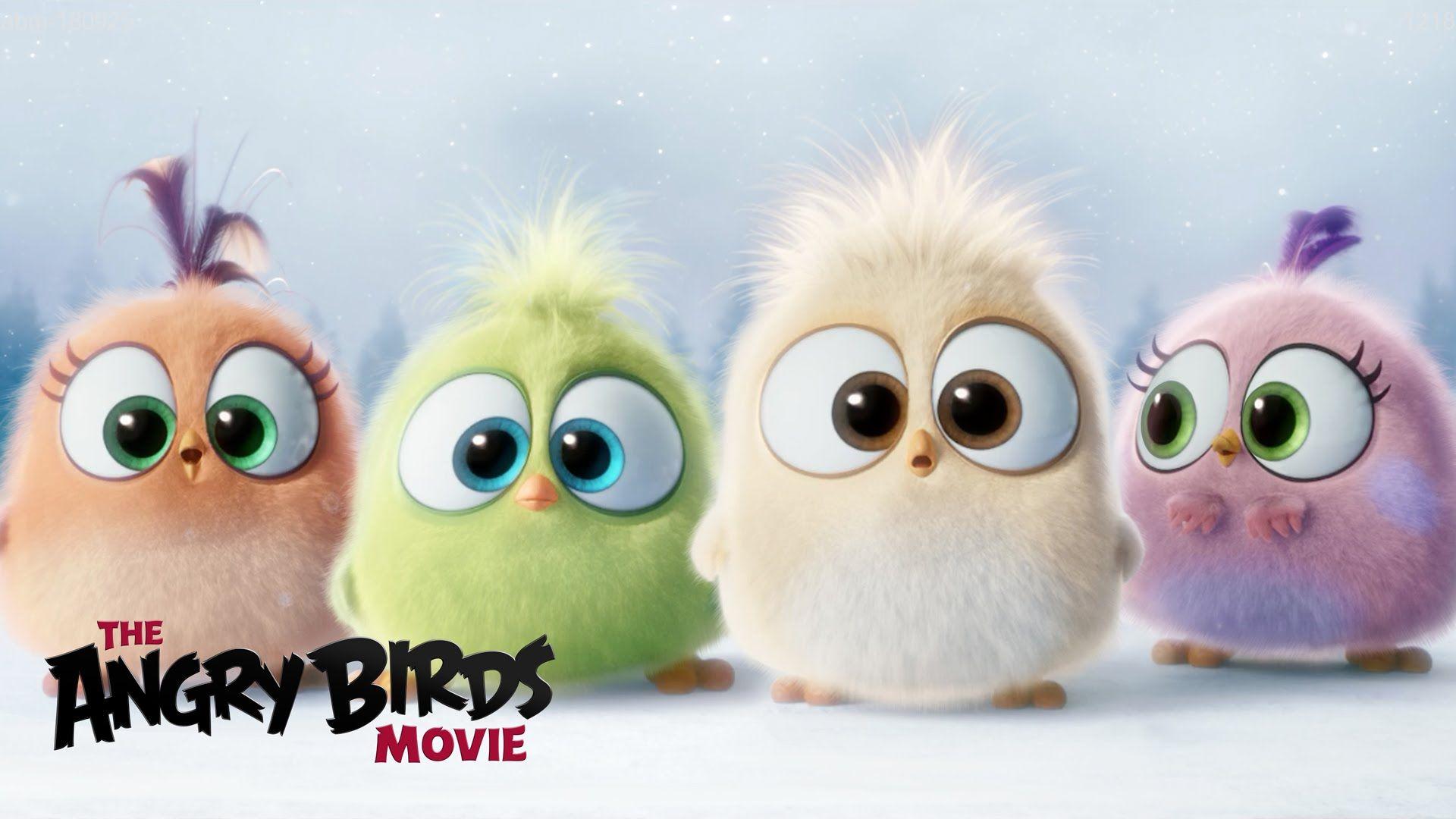 1920x1080 Angry Birds HD Wallpaper