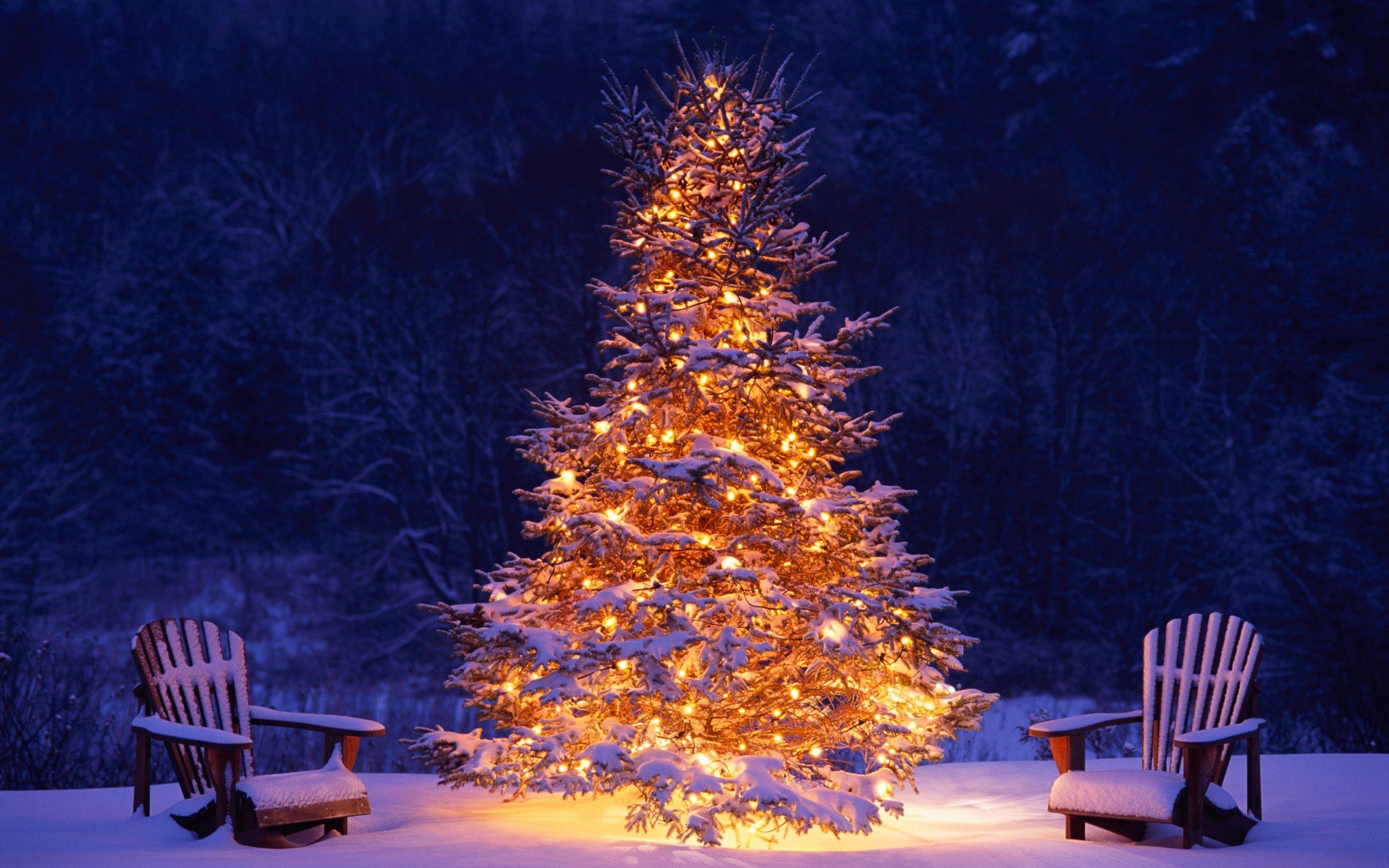 2880x1800 Download 2880x1800 wallpaper christmas tree, chairs, winter, christmas, holiday, mac pro retaia image, background, 1460