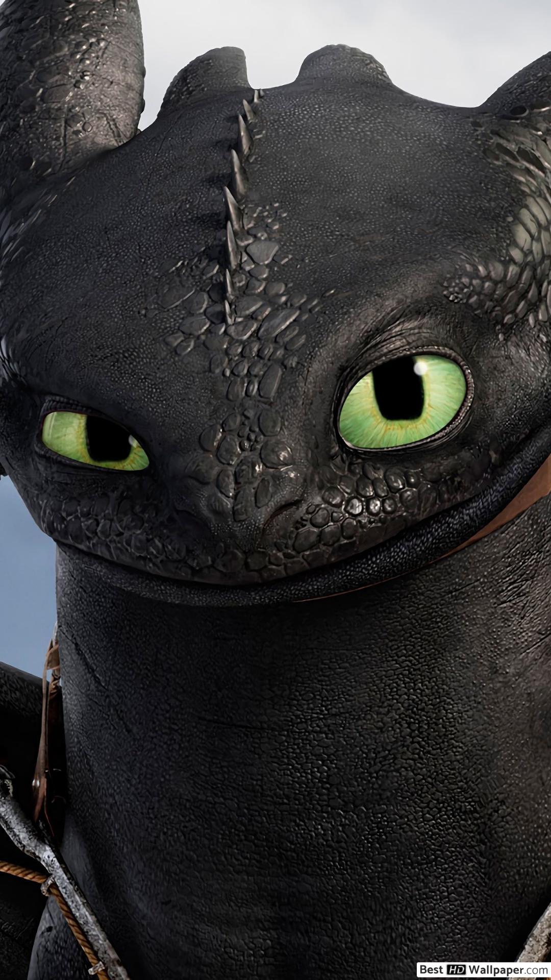 Download Toothless How To Train Your Dragon wallpapers for mobile  phone free Toothless How To Train Your Dragon HD pictures