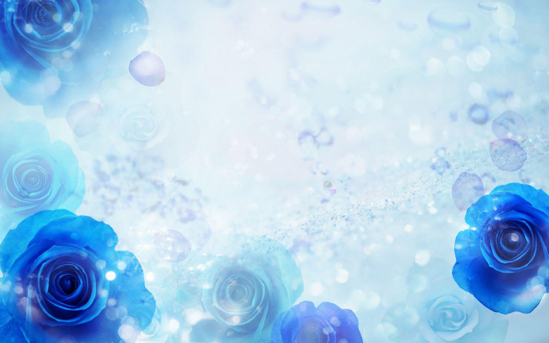 1920x1200 Blue Rose Background Wallpaper & Background Download