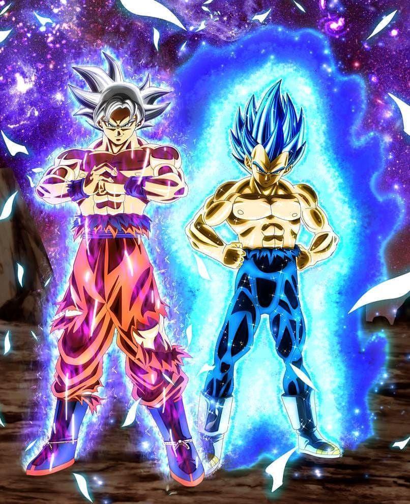 806x991 MUI GOKU x SSB2 Vegeta #dragonball #dragonballz #dragonballsuper #dbz. Dragon ball super, Dbz art, Anime