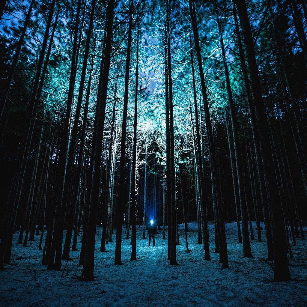 1024x1024 Wood Mountain Nature Blue Night Wallpaper