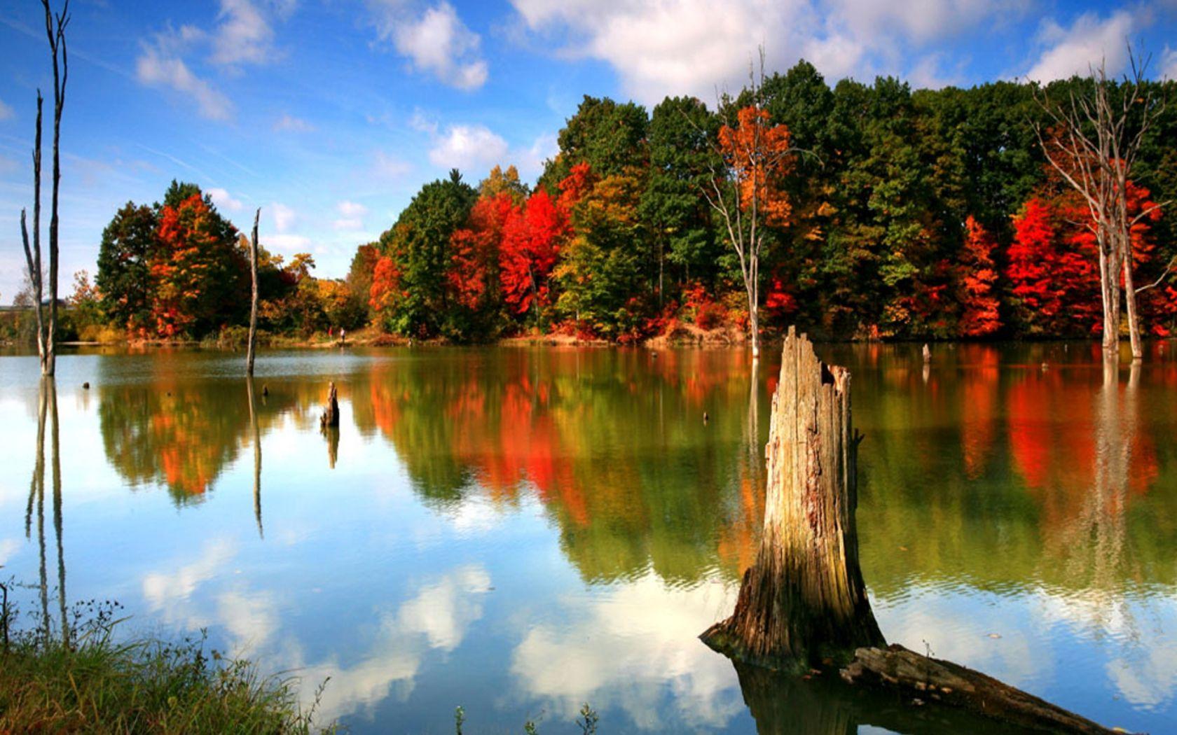1680x1050 Free Desktop Background Autumn .