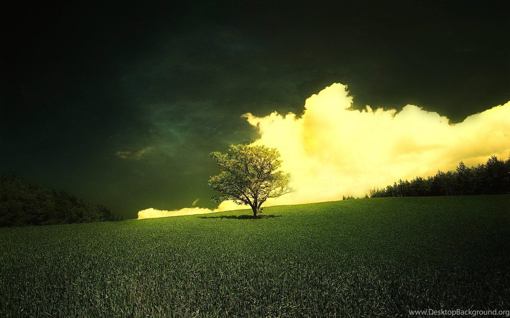 1680x1050 Apples Leaves Autumn Evening Wallpaper Desktop Background