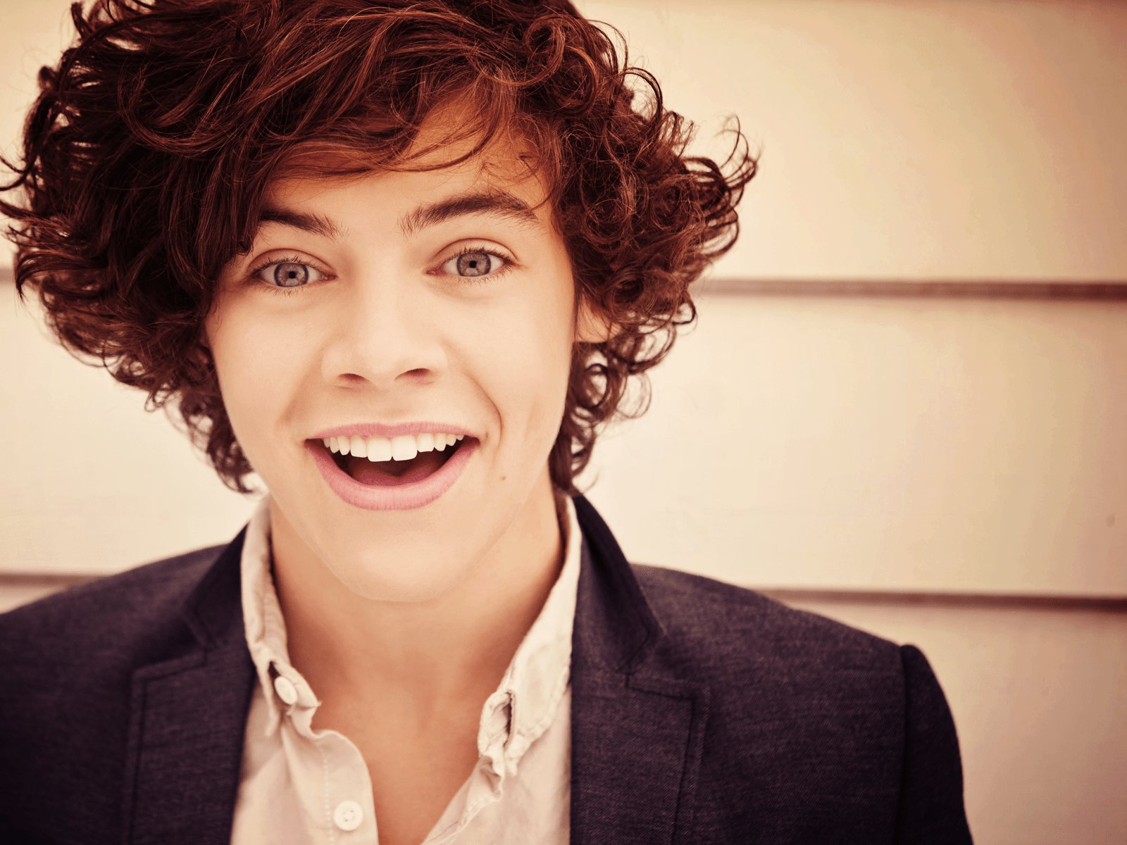 1600x1200 HD Harry Styles Wallpaper
