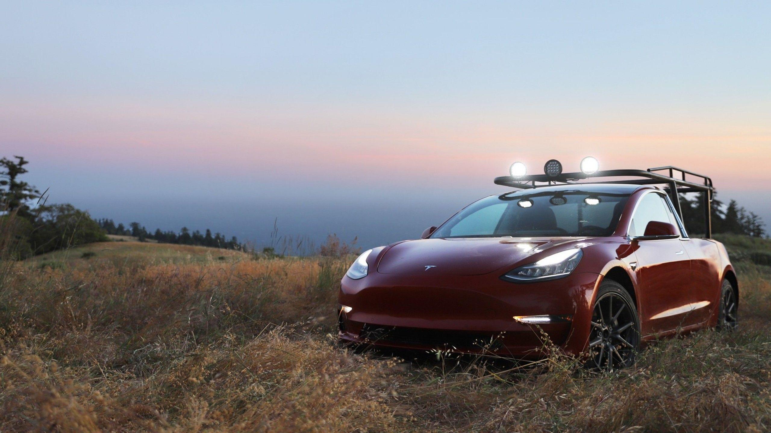 2560x1440 Wallpaper Tesla Pickup Truck, TRUCKLA, 2019 cars, electric cars, HD, Cars & Bikes