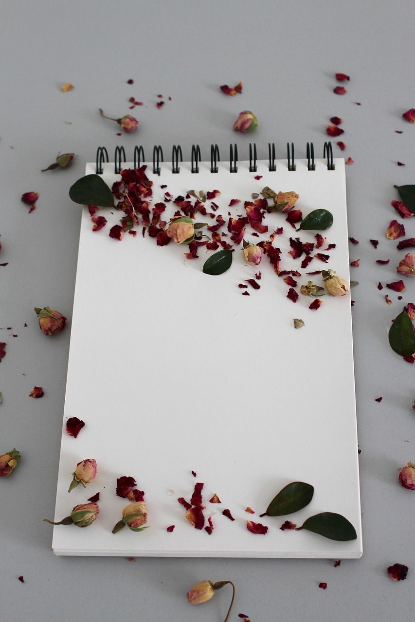 853x1280 Download free photo of Background, notebook, note, leave, book