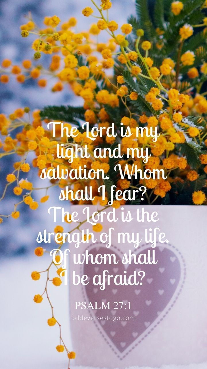 720x1280 Cup of Mimosa Psalm 27:1