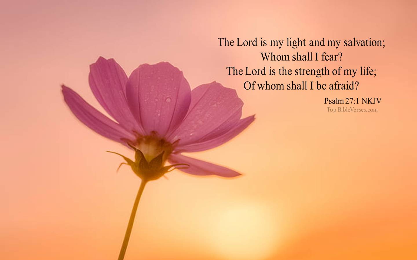 1440x900 Psalm 27:1 Desktop Wallpaper