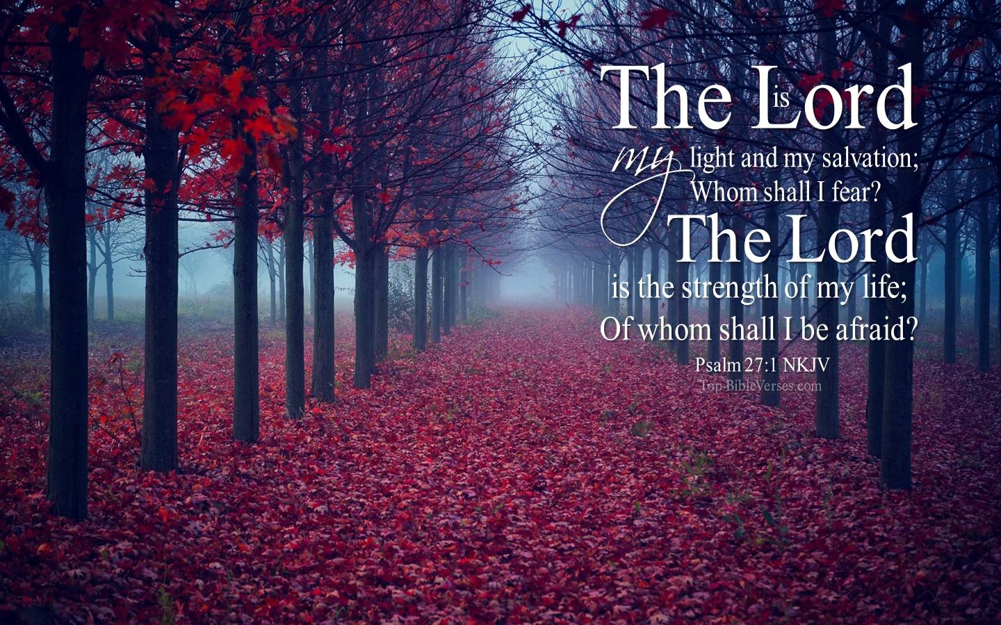 1440x900 Psalm 27:1 Desktop Wallpaper