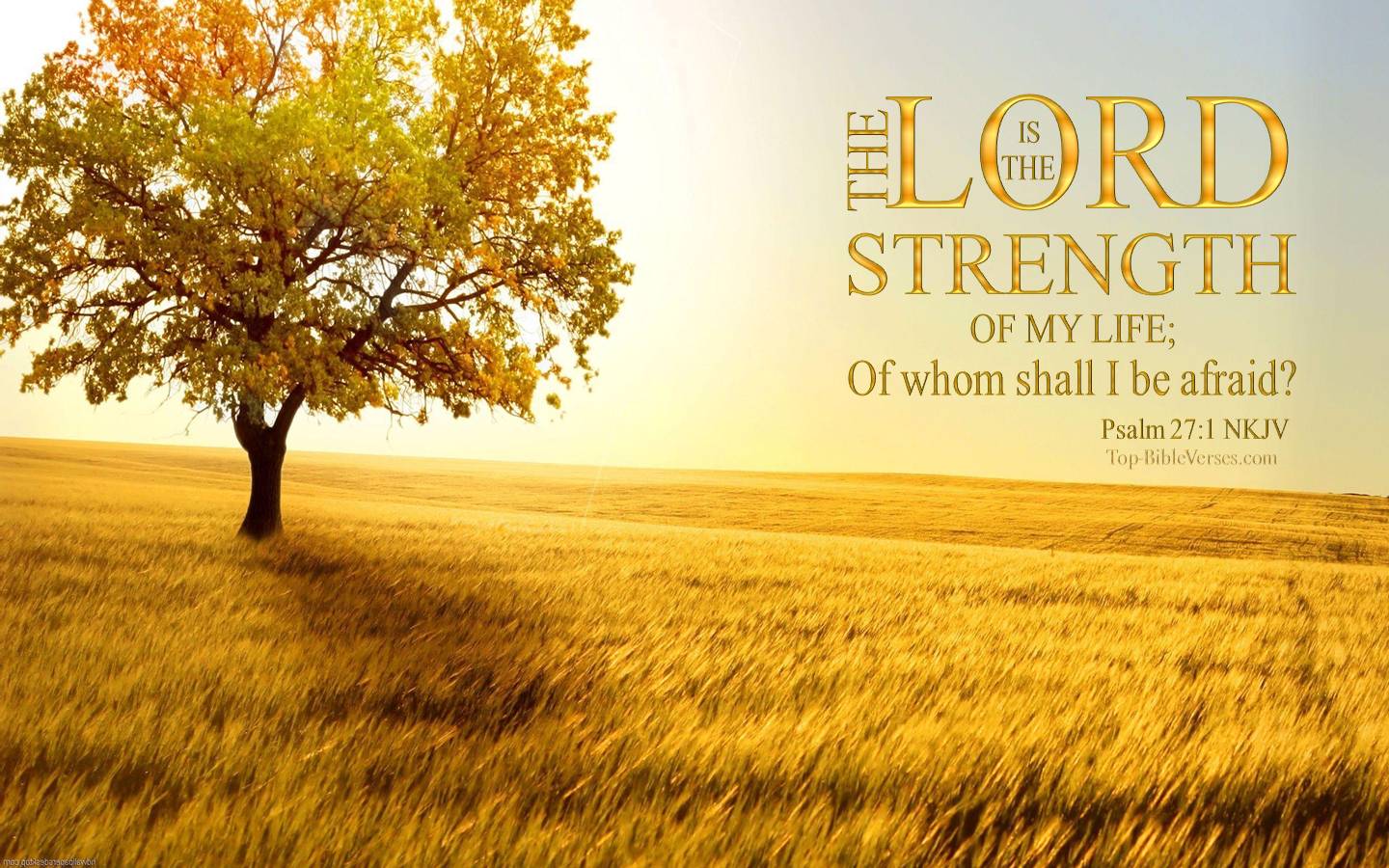1440x900 Psalm 27:1 Desktop Wallpaper