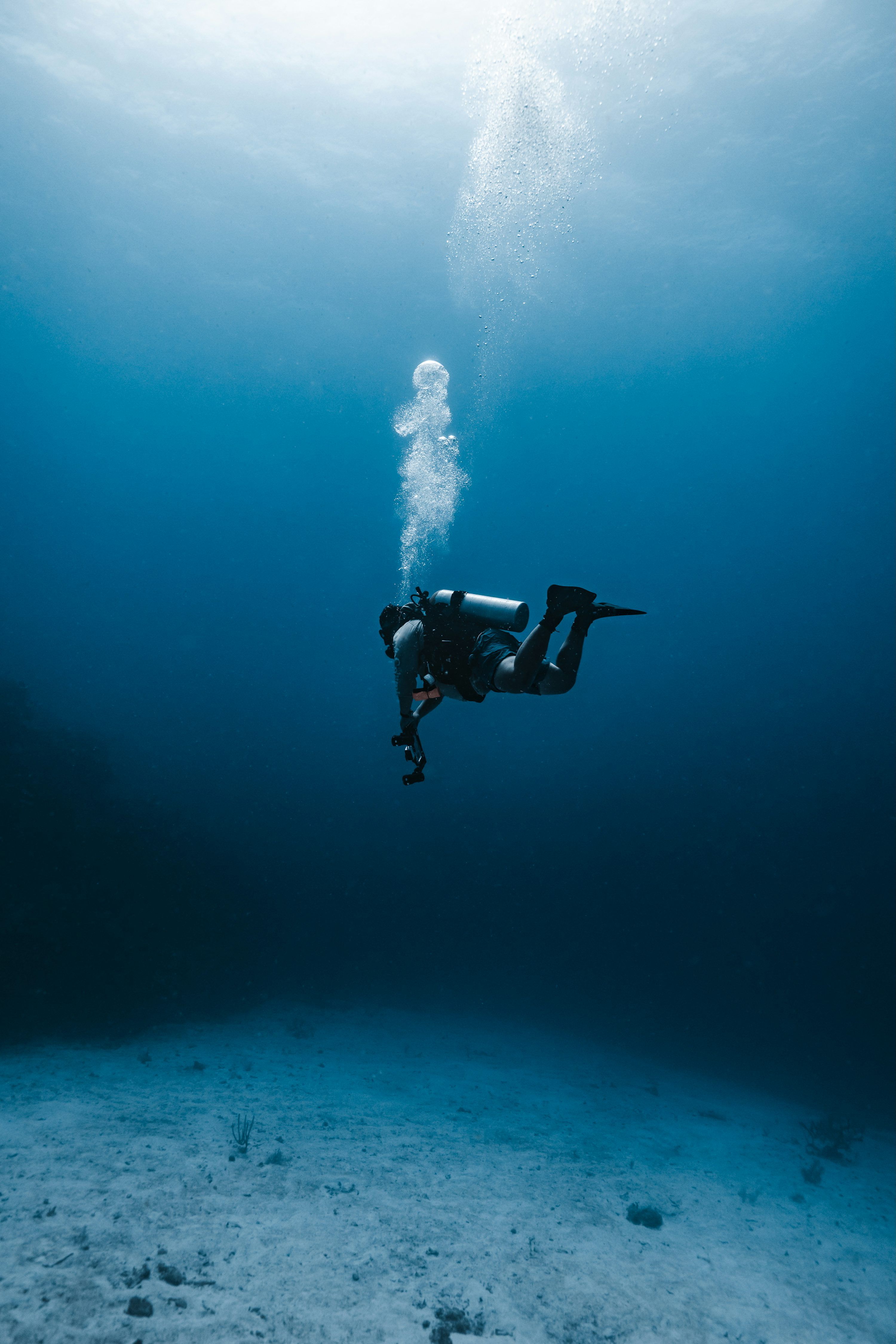 3000x4498 A scuba diver explores the deep blue sea. photo