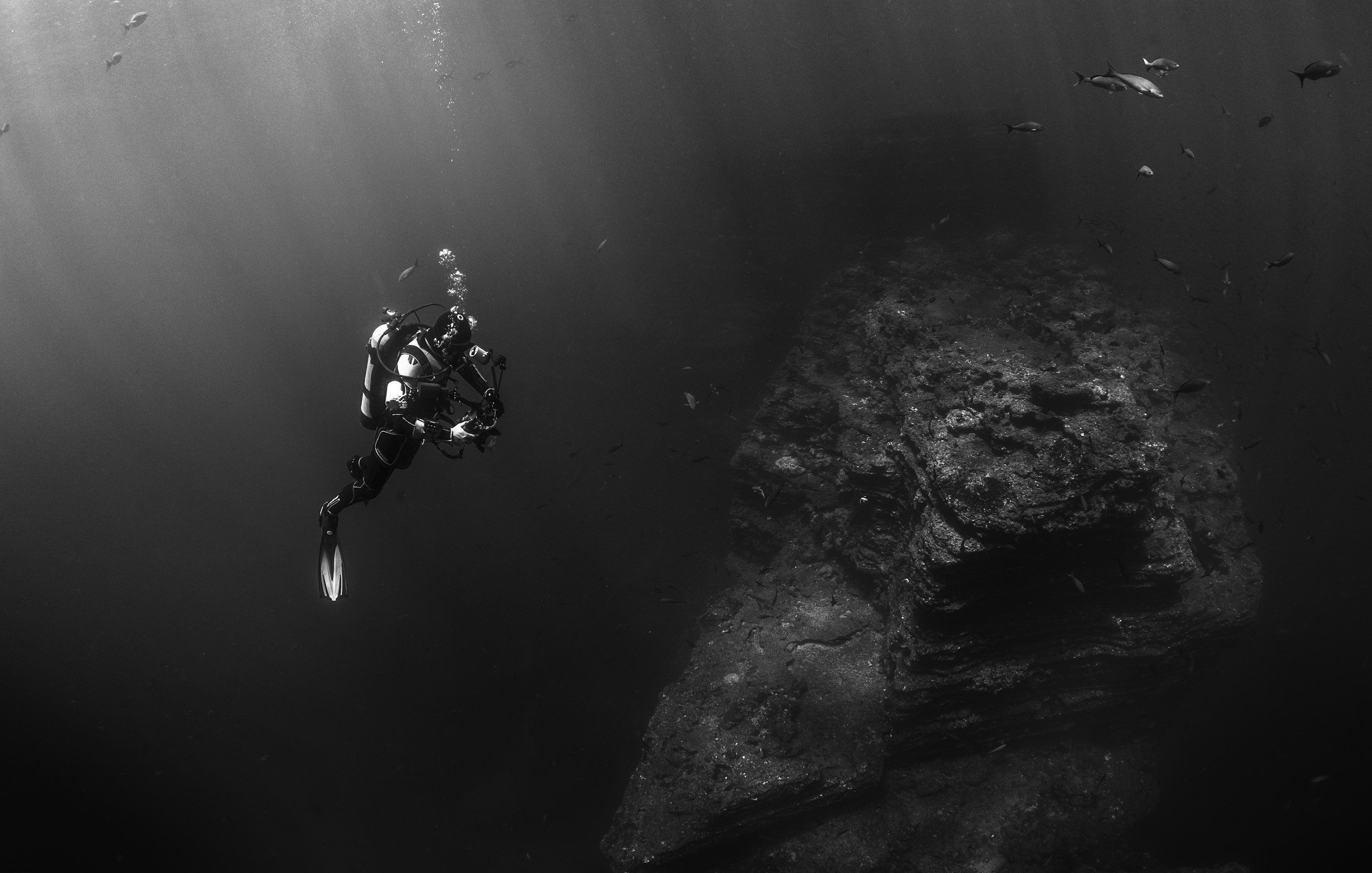 3000x1909 Grayscale photo of person scuba diving photo