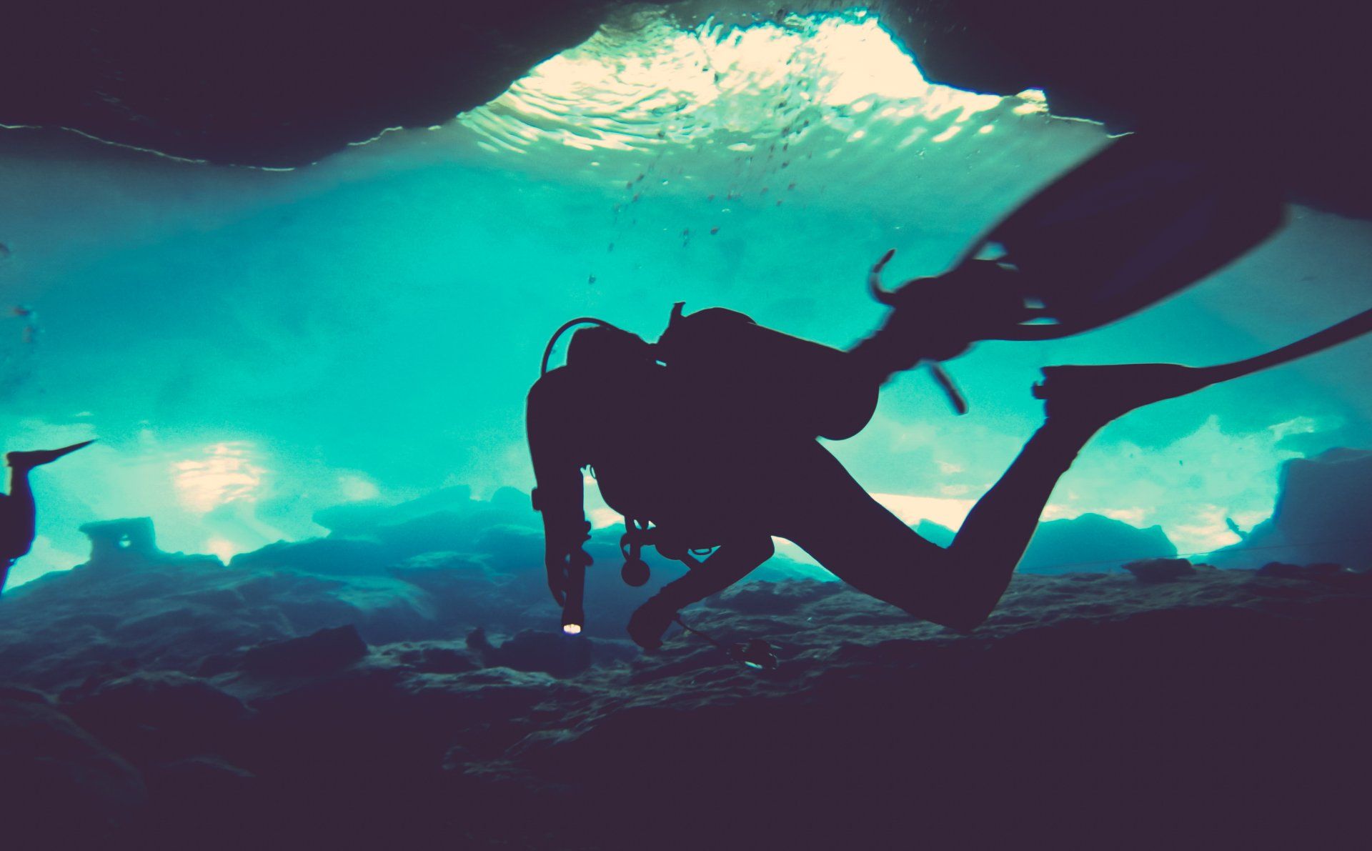 1920x1191 4K Ultra HD Scuba Diving
