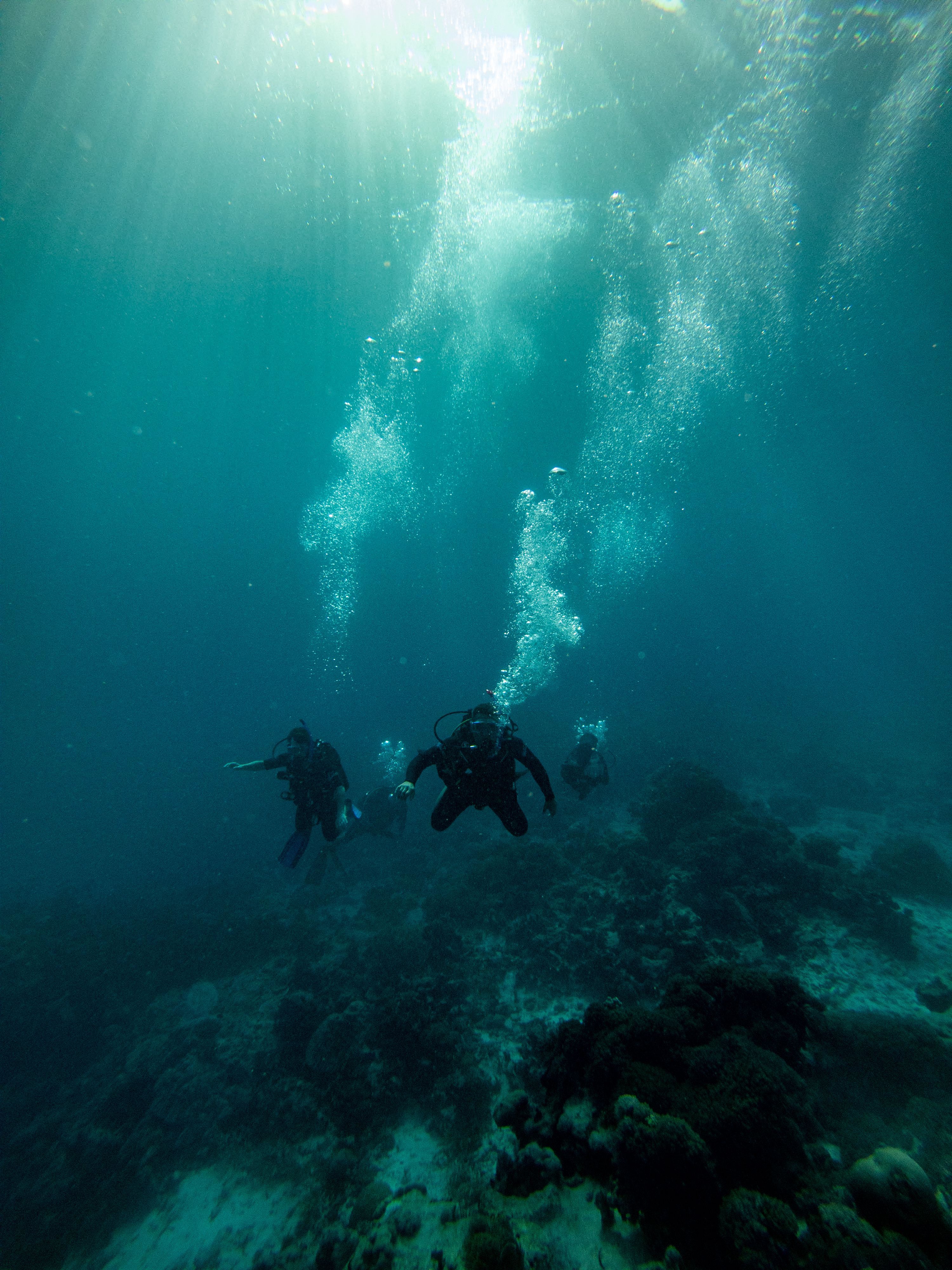 3000x4000 Scuba Diving Photo, Download The BEST Free Scuba Diving & HD Image