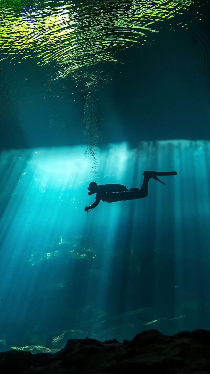 736x1308 Diver Underwater Sunbeam 4K Ultra HD Mobile Wallpaper for iPhone & Android