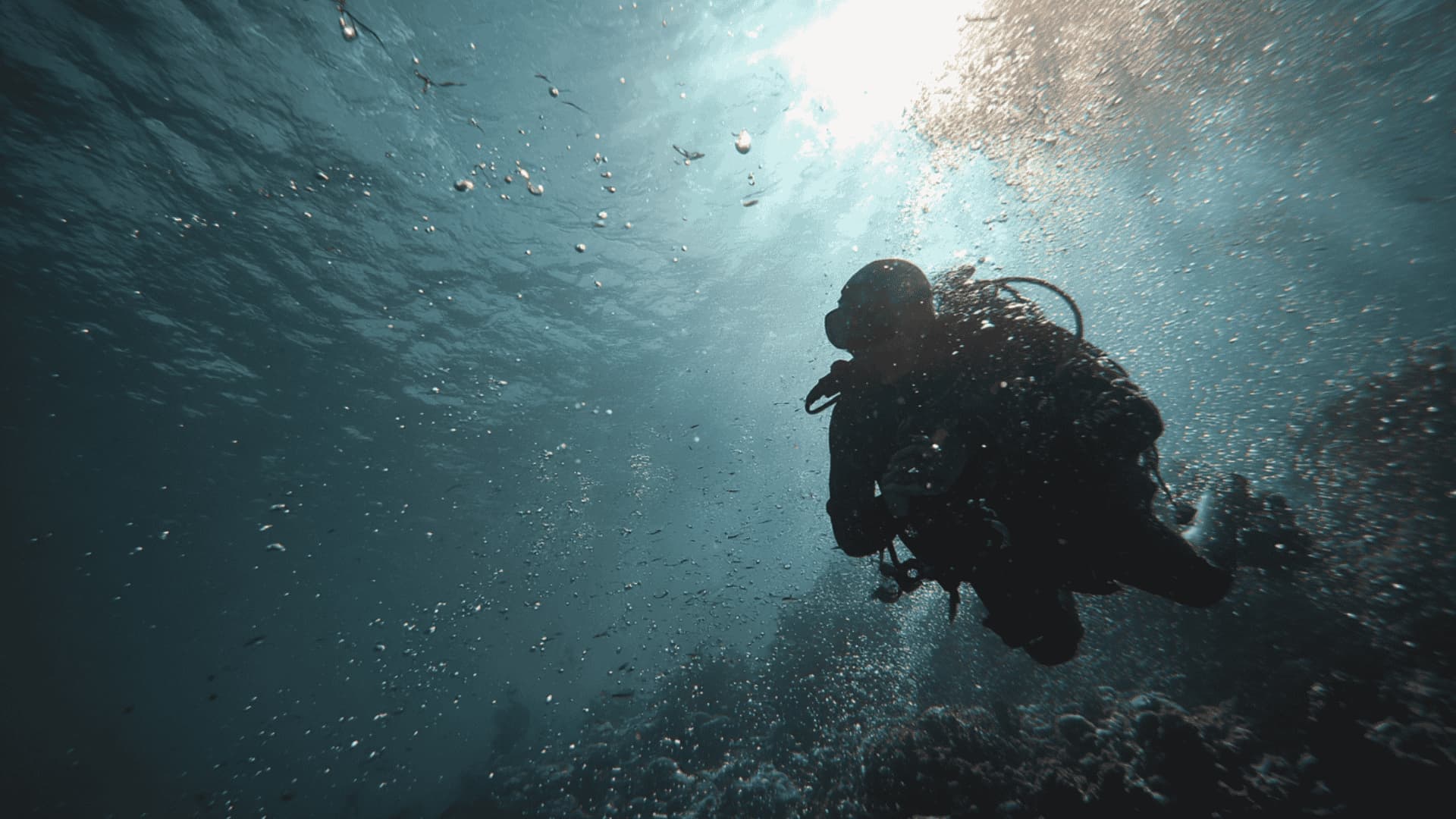 1920x1080 Deep Sea Diving: Basics You Need To Know