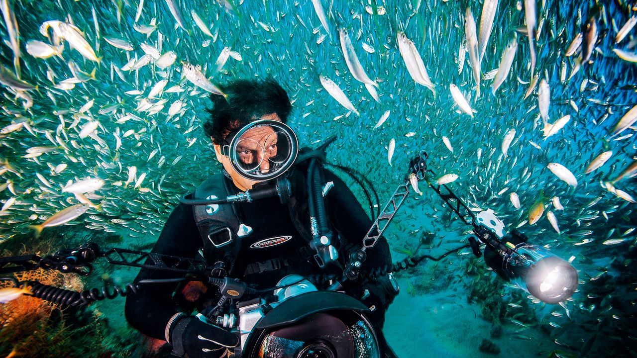1280x720 Deep sea diving with underwater photographer David Doubilet