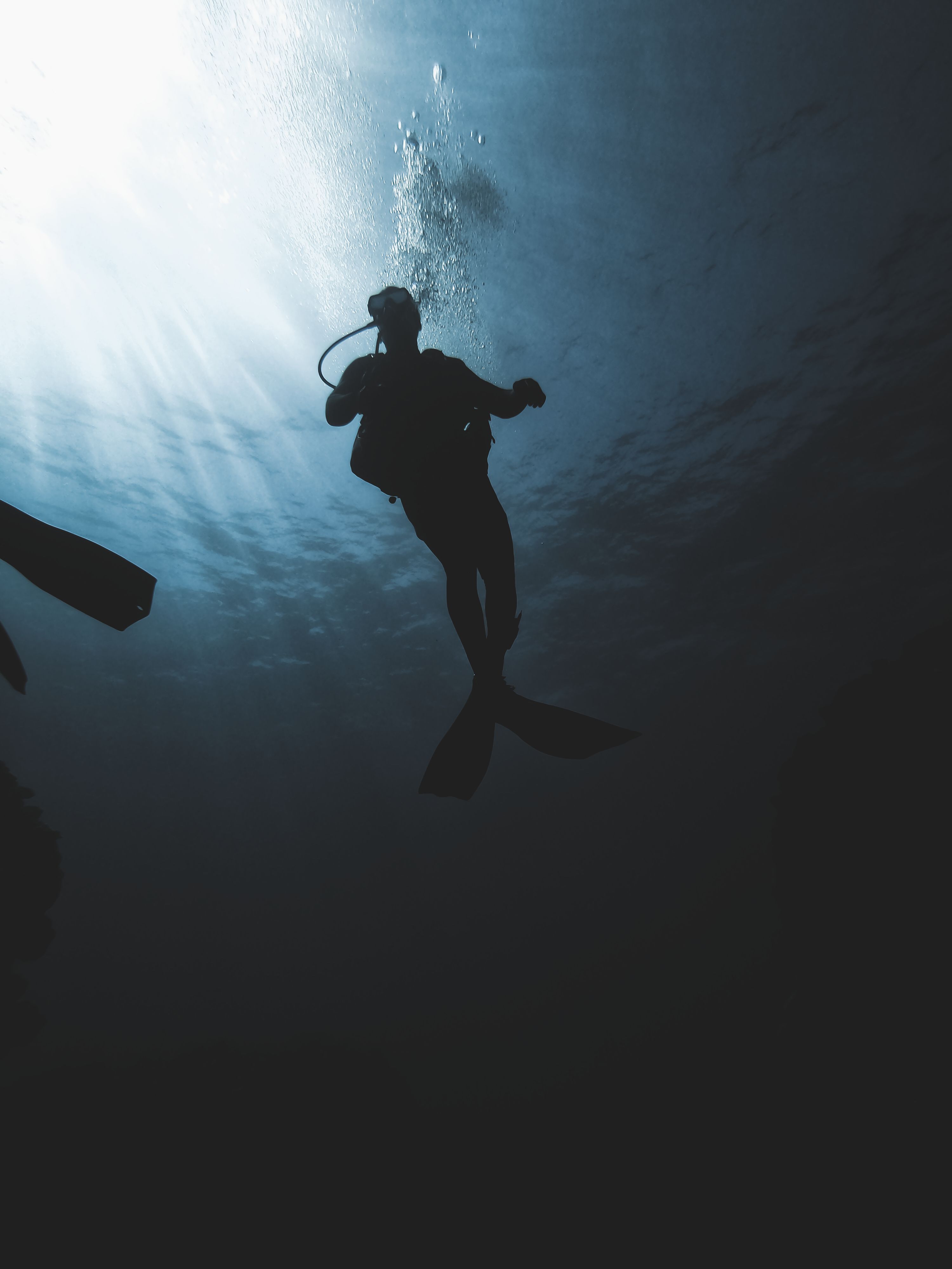 3000x4000 Deep Diving Photo, Download The BEST Free Deep Diving & HD Image