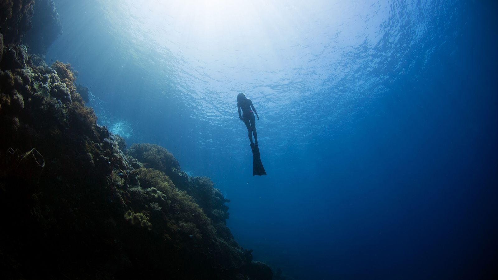 1600x900 What Was the Deepest Free Dive Ever Recorded?