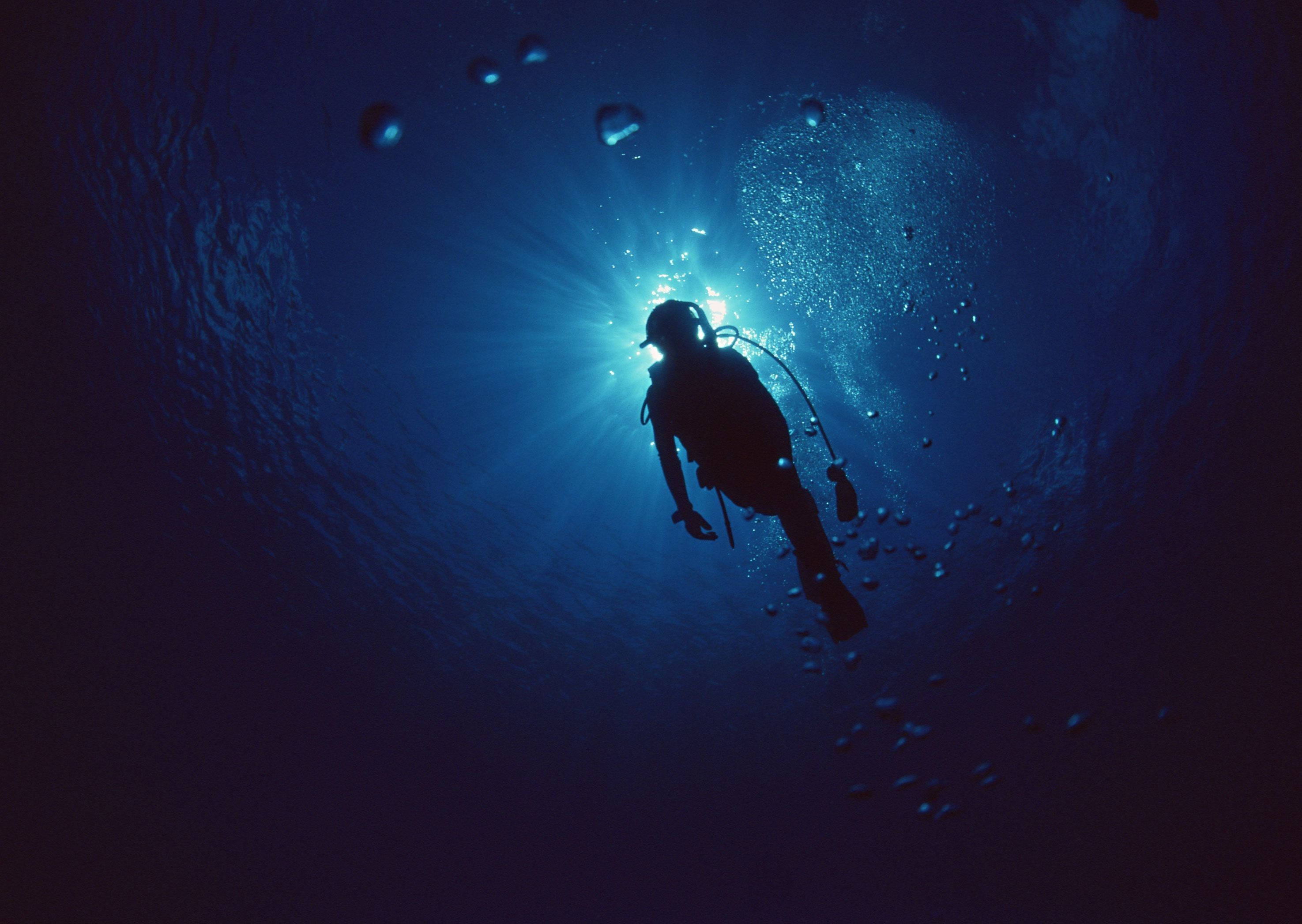 2950x2094 Download Scuba Diving In The Deep Blue Sea Wallpaper