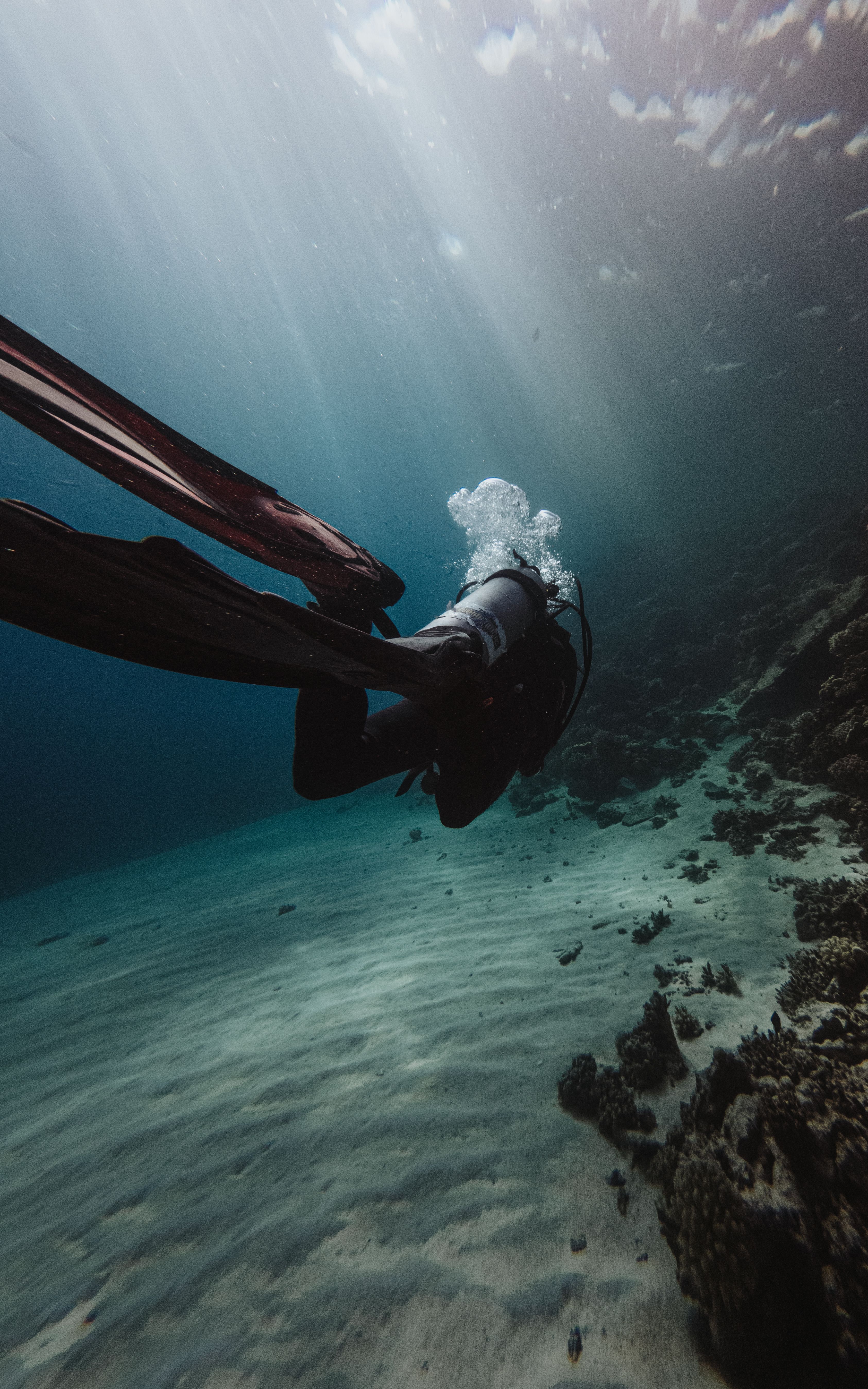 3371x5393 Scuba Diver Exploring Vibrant Coral Reef · Free