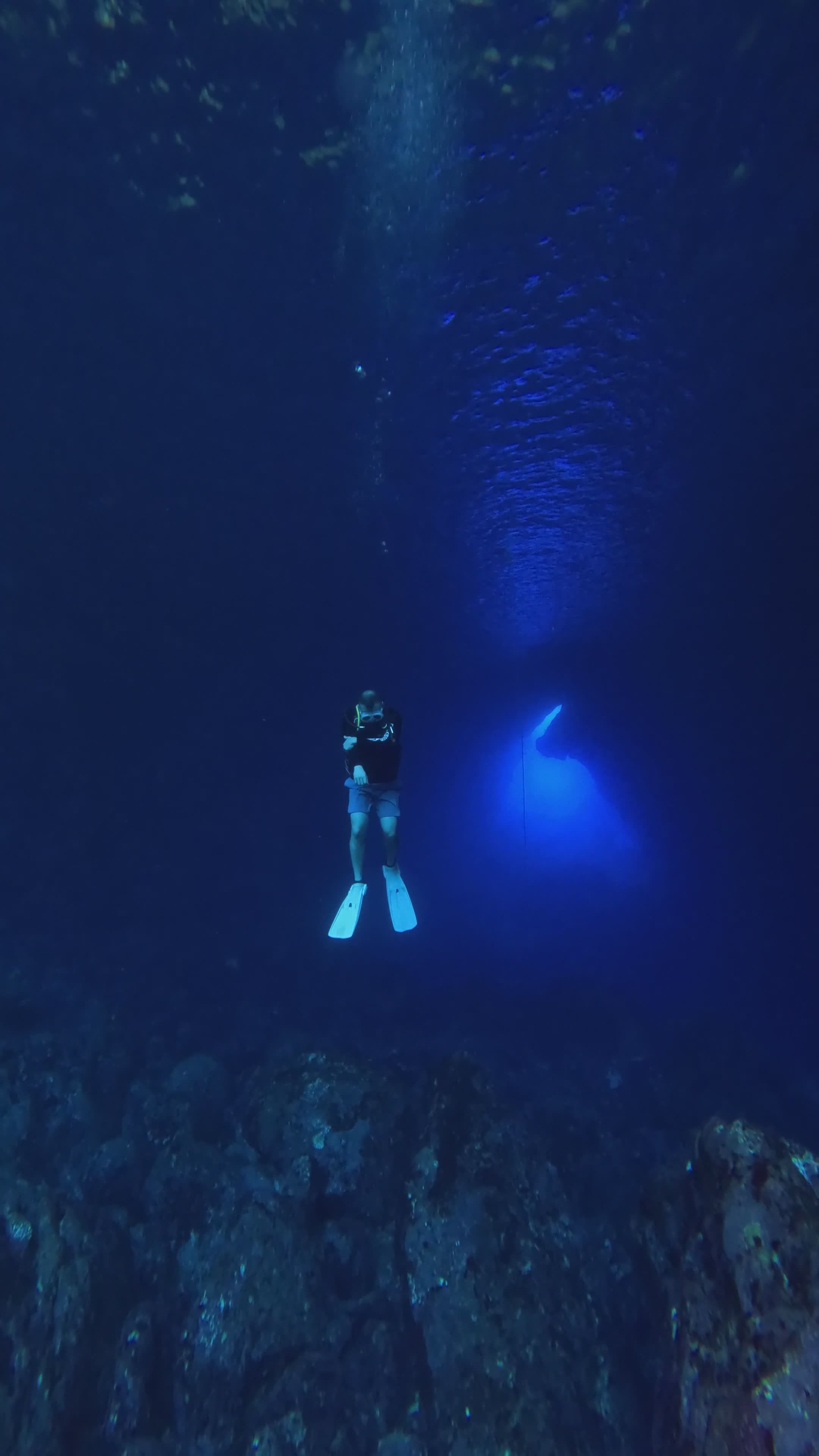 2160x3840 Deep Ocean Dive With Scuba Diver In Blue Free Stock Video Footage, Royalty Free 4K & HD Video Clip