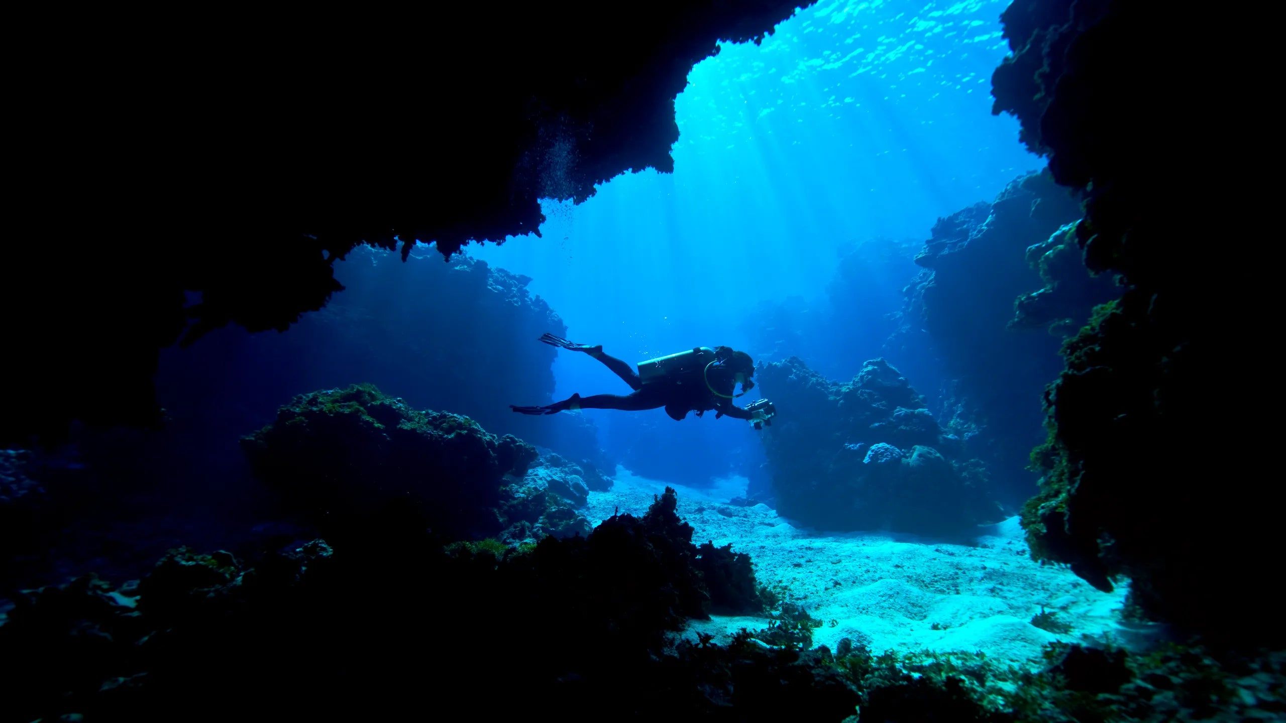 2560x1440 Why We're Drawn to the Deep: The Psychology of Diving
