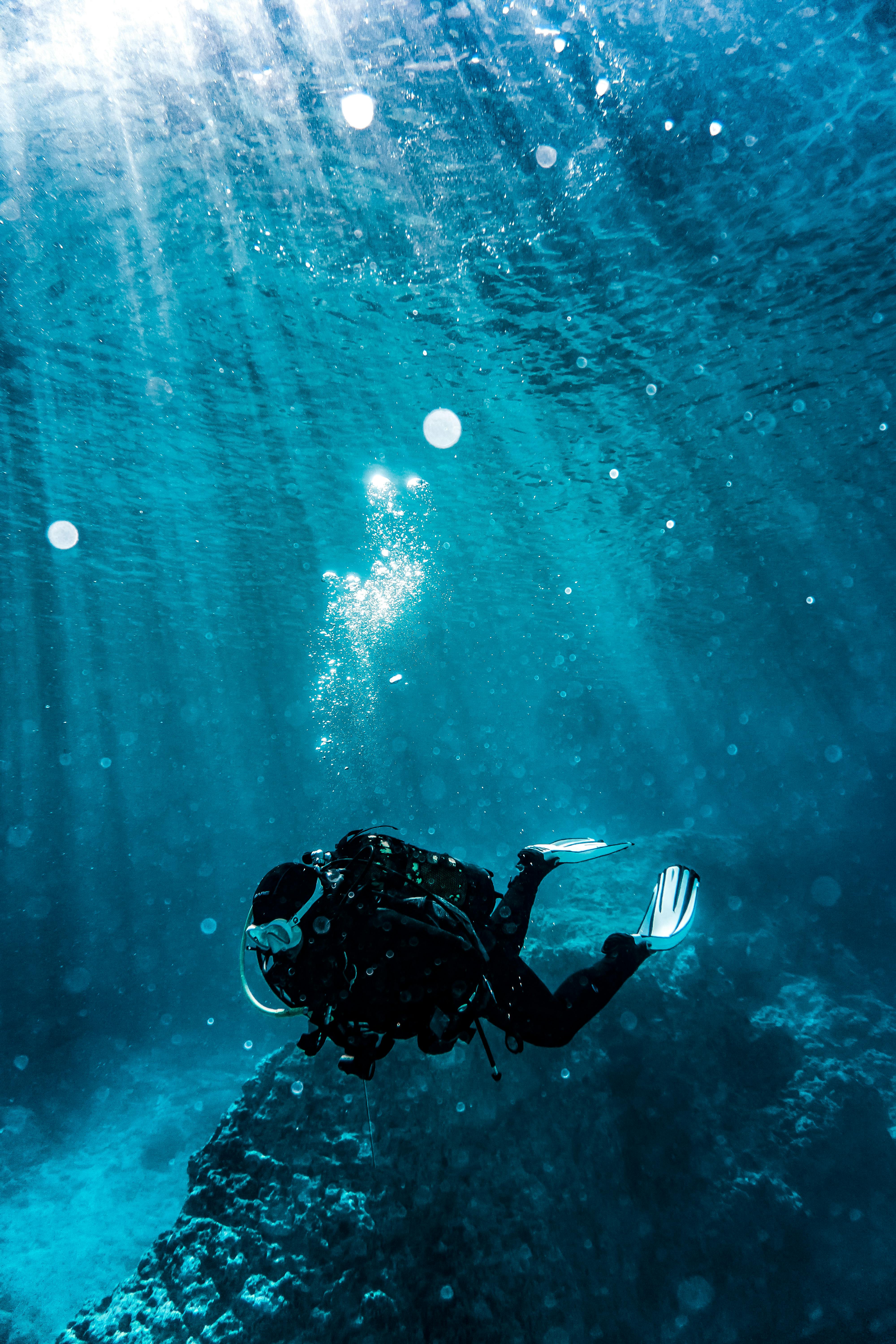 4000x6000 Underwater Diving Wallpaper