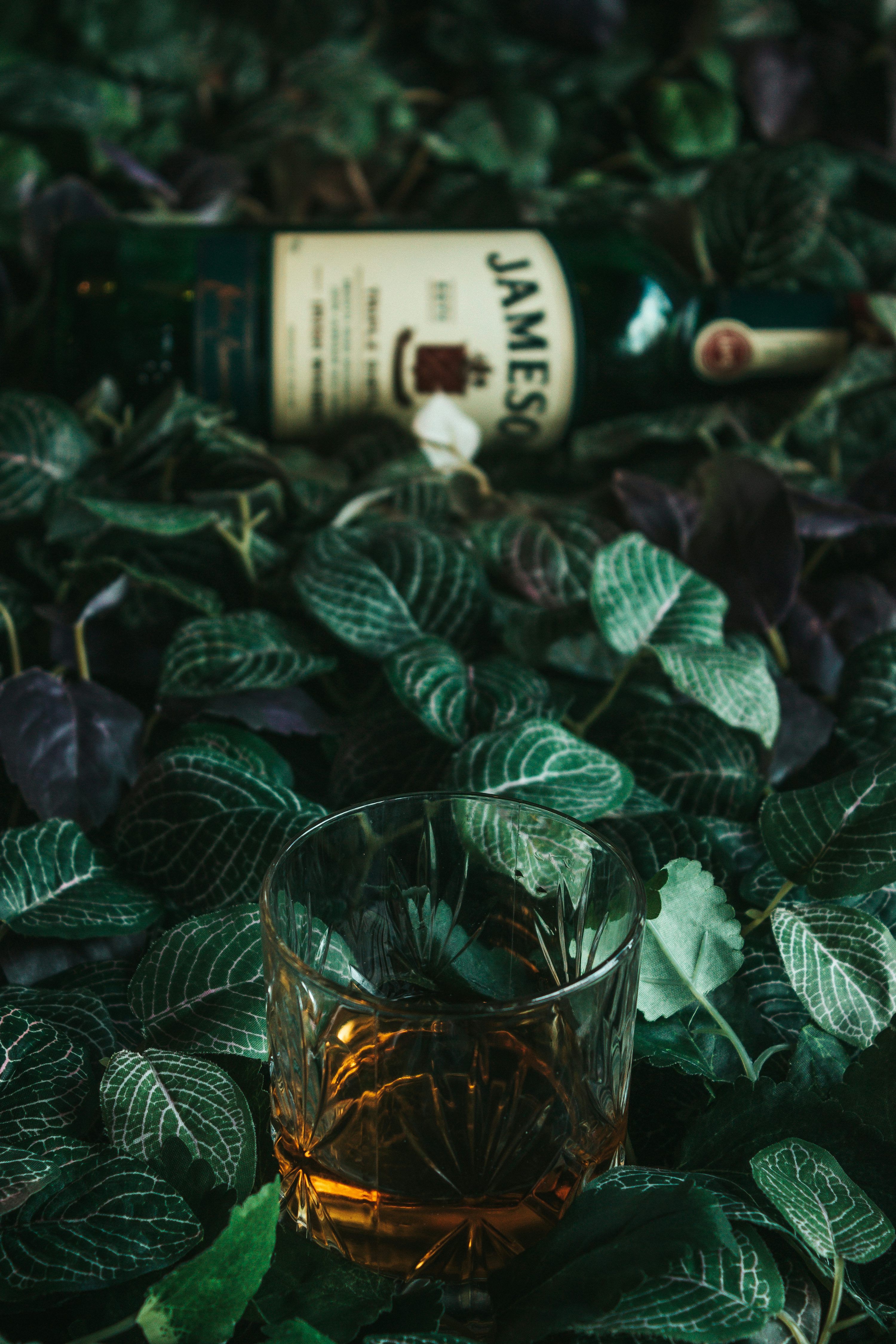 3000x4500 Jameson Whiskey Picture. Download Free Image