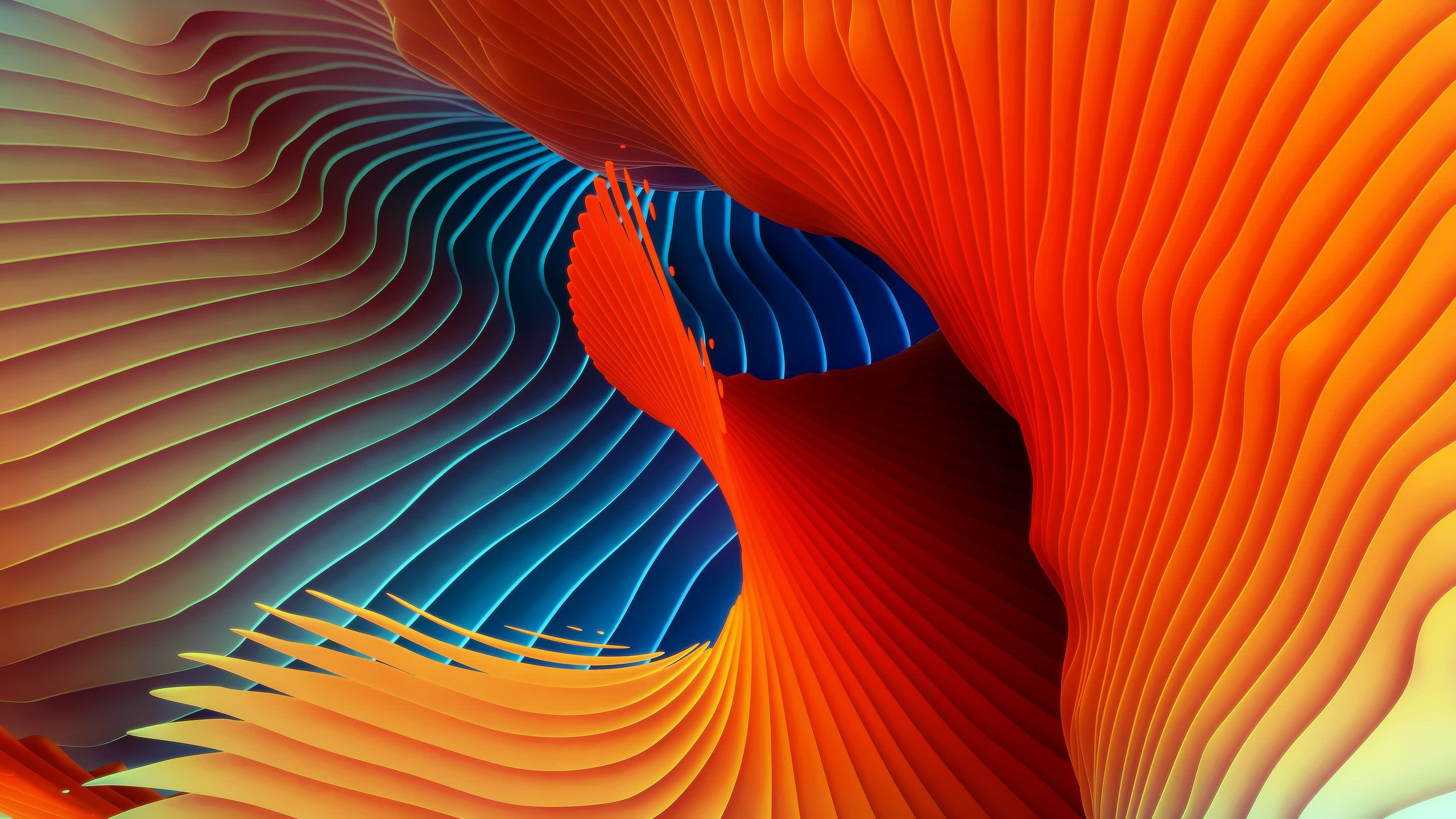 2560x1440 Spiral Abstract Colorful WQHD 1440P Wallpaper