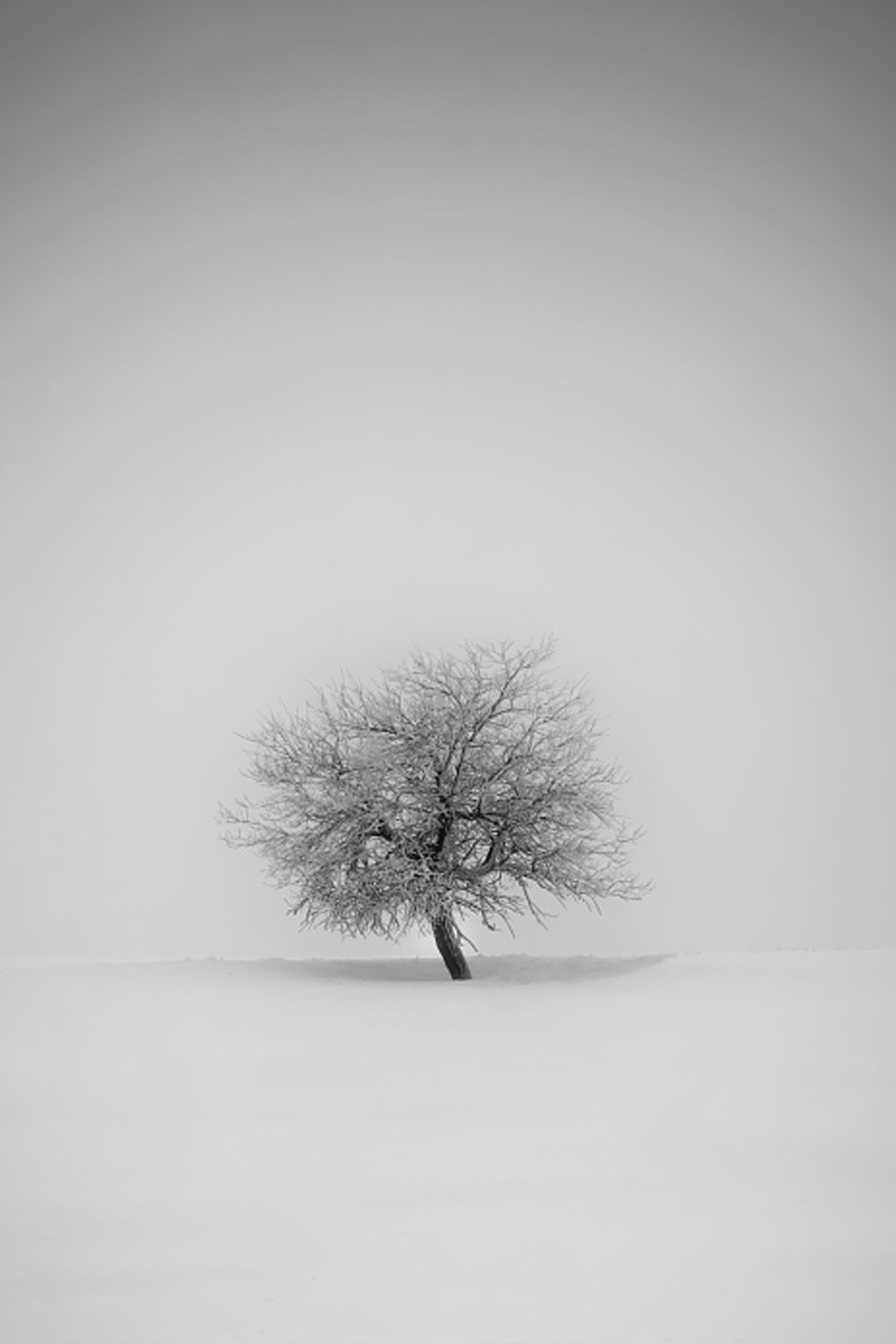 2560x3840 White Minimalist iPhone Wallpaper
