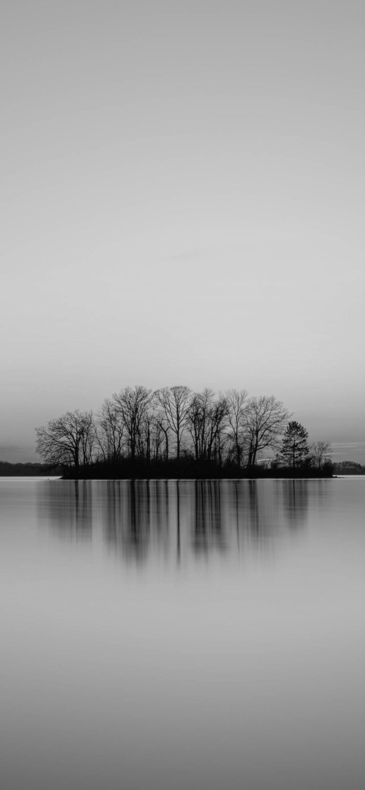 1183x2560 Black and White Wallpaper for iPhone Pro Max, X, 6