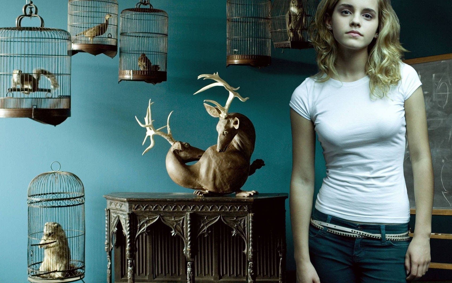 1920x1200 Hermione Wallpaper
