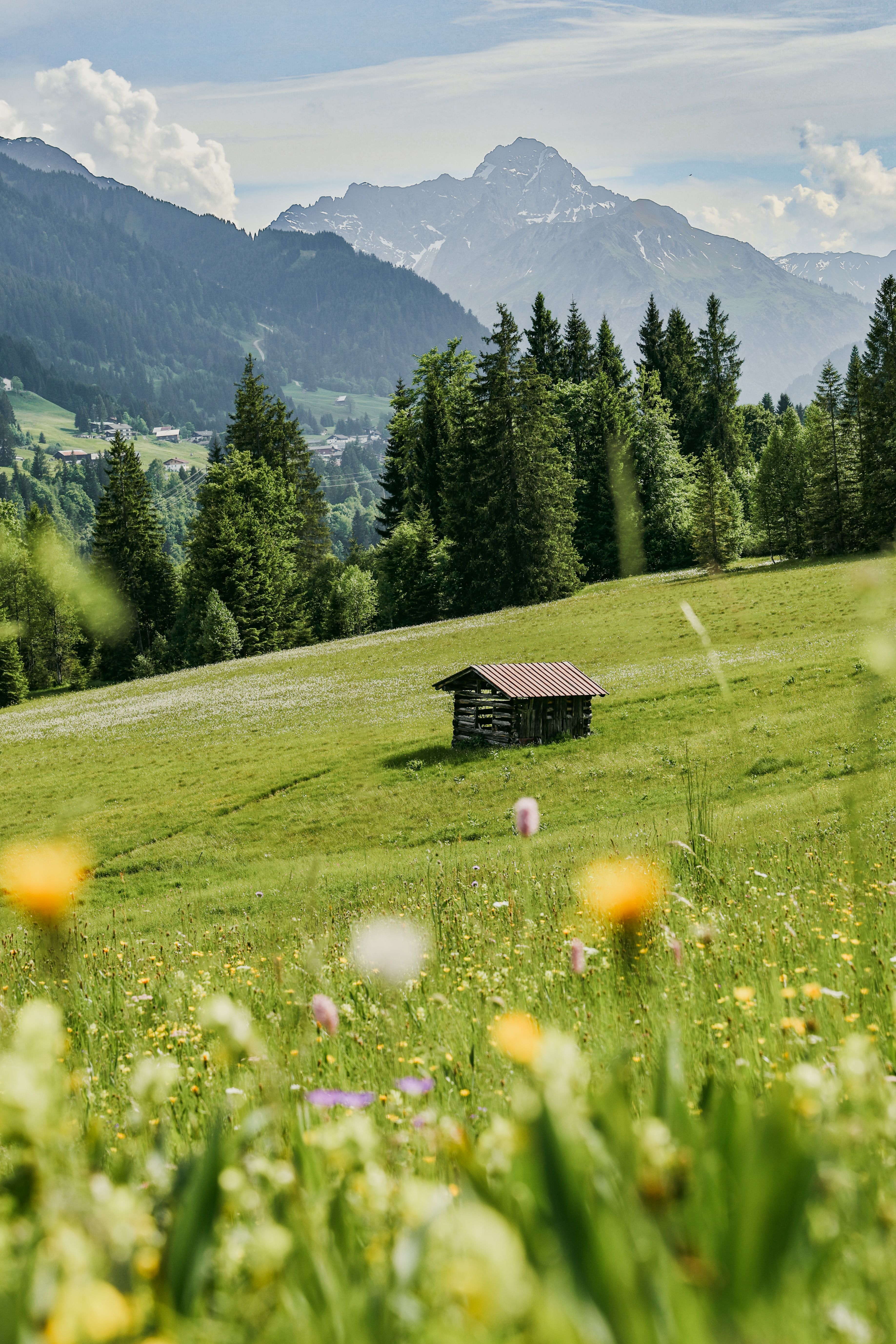 3673x5509 Scenic View of German Alps in Summer · Free