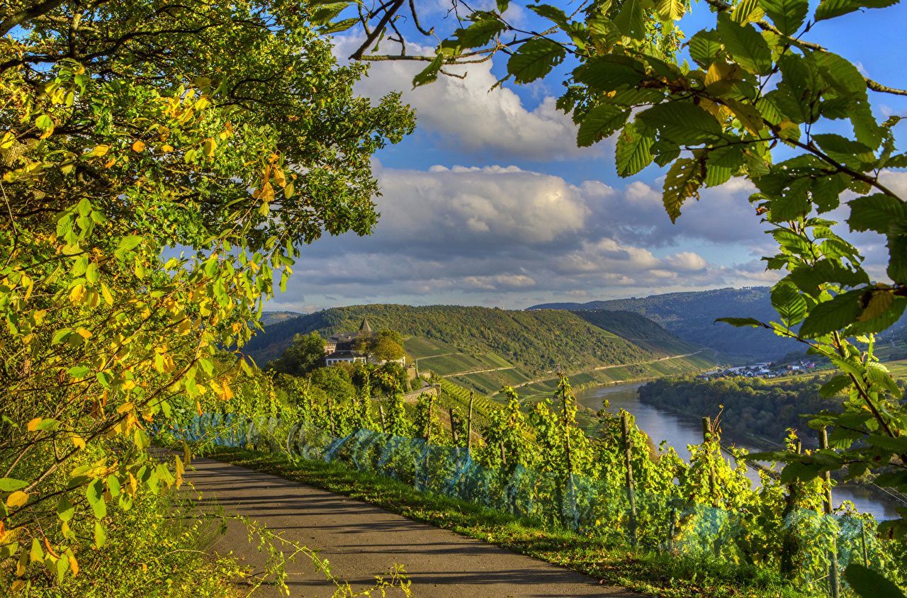1280x844 Summer Germany Wallpaper